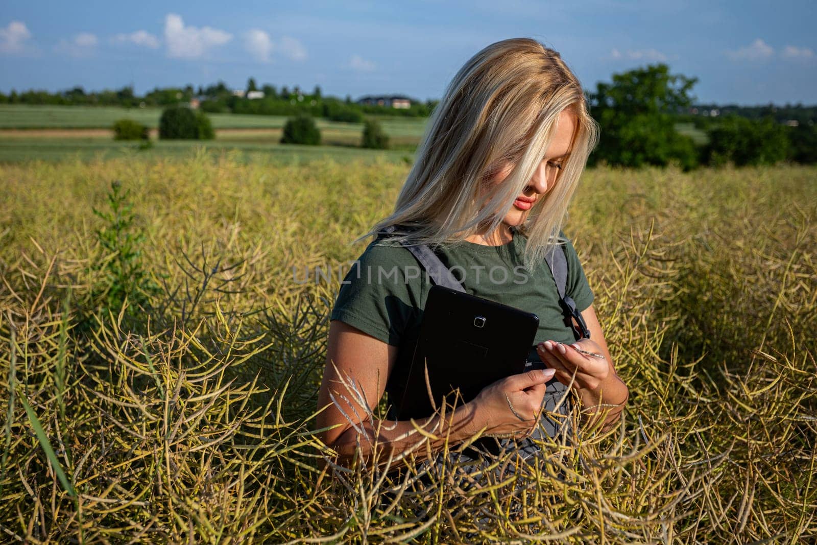 A woman farmer is checking the quality of rapeseed with her hand and eyes on the middle of the field. She is holding a tablet. She is checking the information about her harvest. She owns a rapeseed field and is checking this year's harvest. She is an experienced farmer, caring for her crops in a vast field. Her blonde hair falls onto her face. The soil is fertile and productive. The rapeseed is yellow and ready for harvest. Satisfied with the bountiful and lavish harvest, the woman farmer, adorned in working clothes and with tanned skin, gazes upon the expansive yellow landscape with a sense of fulfillment. With the blue sky adorned with fluffy white clouds overhead, she closely and meticulously examines the rapeseed.