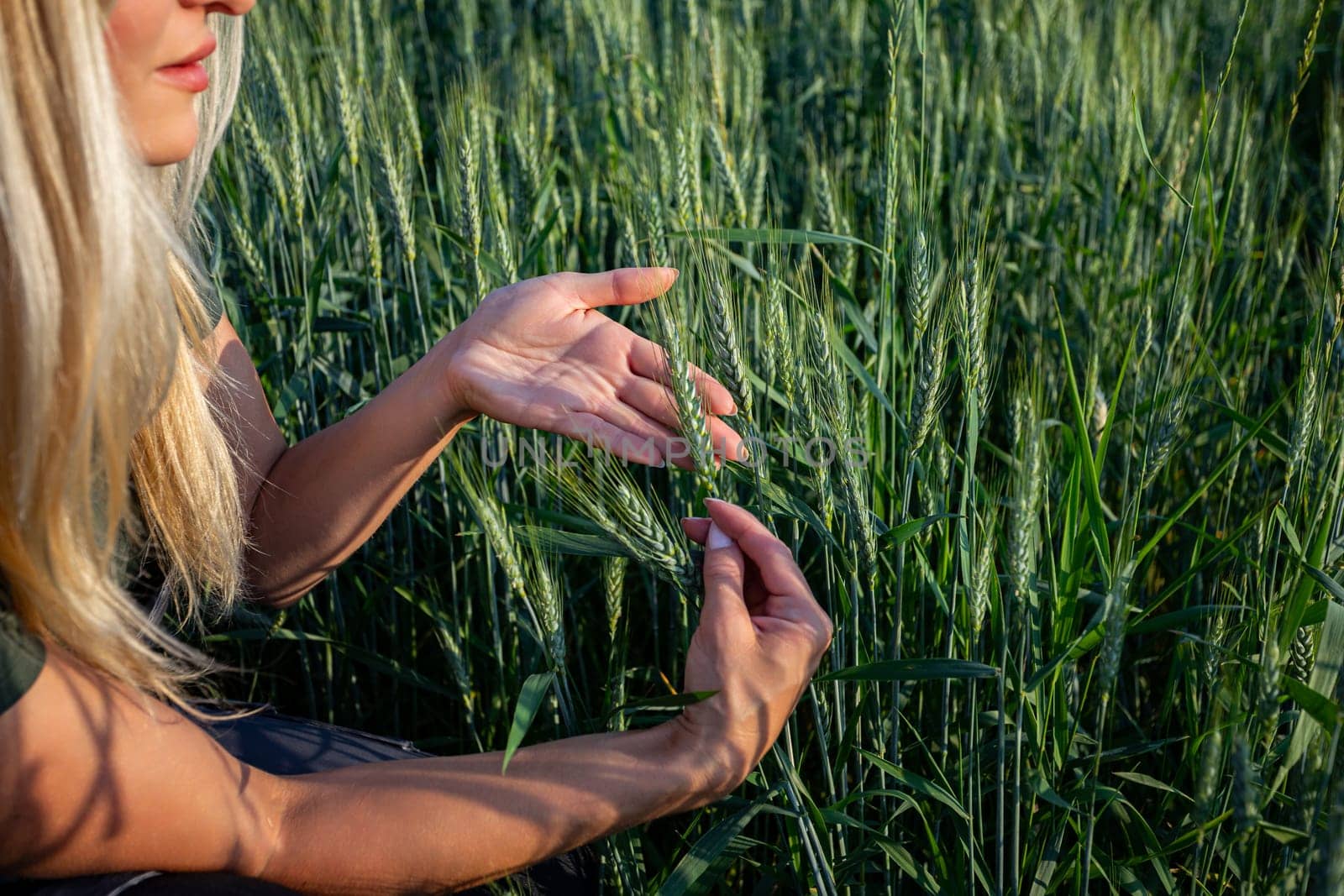 On a sunny day, a young and pretty female farmer crouches in the field, attentively observing her wheat crops. Dressed in practical work attire, her blonde hair illuminated by the sunlight. She embraces the wheat stalks with her hands, symbolizing her connection to the land and her dedication to nurturing the crops. She is carefully touching the wheat adn checking its quality. The sun casts a warm glow on her face and hair, highlighting her features and emphasizing her sense of contentment and satisfaction. She is focused as she tends to do her agricultural duties with care and diligence. This captivating image captures the essence of rural life, where the beauty of nature intertwines with the hard work and dedication of those who cultivate the land