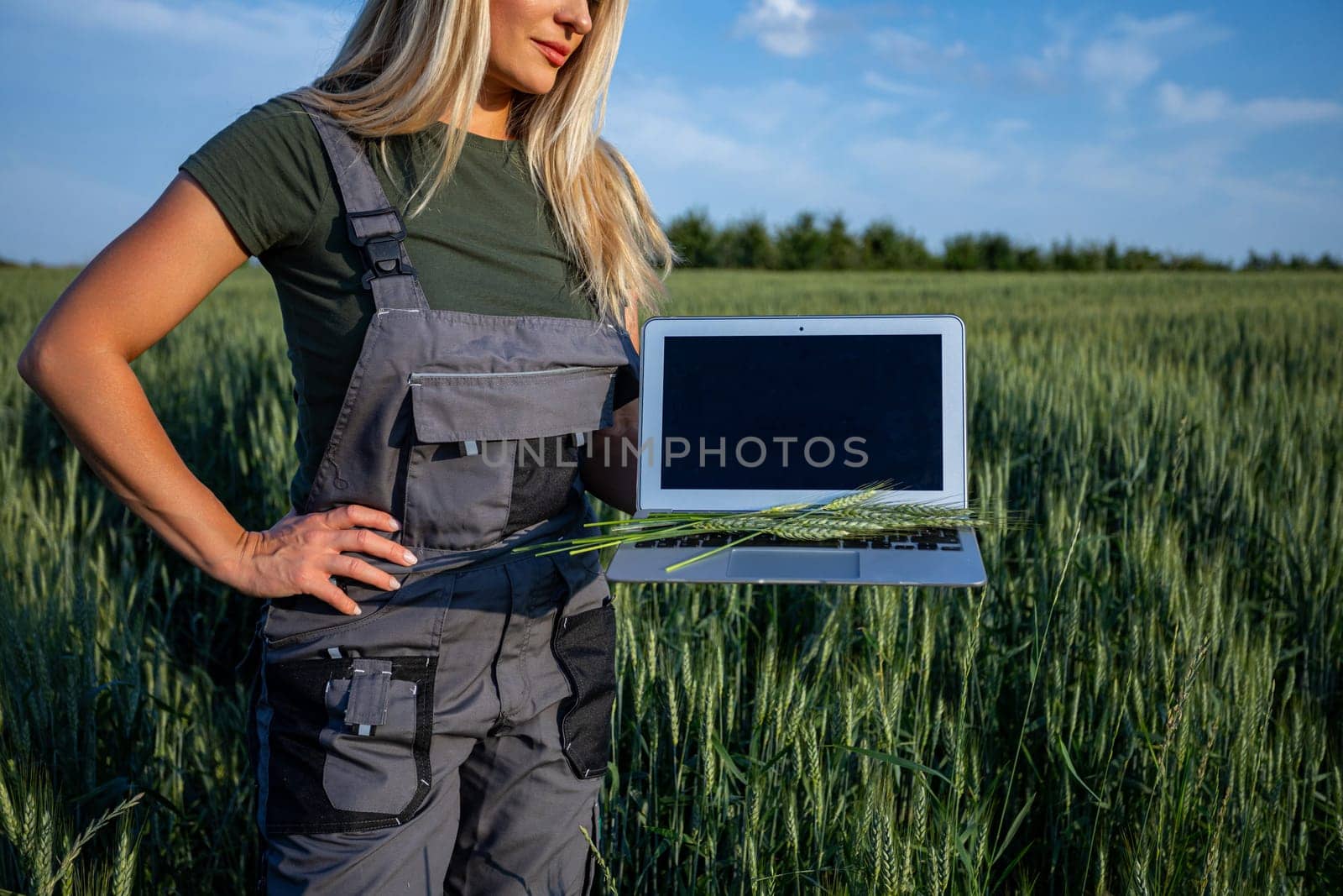 In the heart of a golden wheat field, a female farmer stands proudly, holding a laptop adorned with vibrant green wheat stalks. With one hand supporting the laptop and the other resting on her hip, she exudes confidence and satisfaction. The laptop has black screen - its turned off. Clad in work attire and with blonde hair framing her face, she epitomizes the dedication of a modern agriculturalist. Her gaze reflects pride in her harvest and the land she tends. This image captures the fusion of technology and tradition in farming, as the farmer utilizes digital tools amidst the rustic beauty of her field. The juxtaposition of the sleek laptop and the organic wheat stalks symbolizes the harmonious balance between innovation and nature. With the golden hues of the wheat field stretching into the horizon under the sunny skies of summer, the scene evokes a sense of tranquility and rural charm