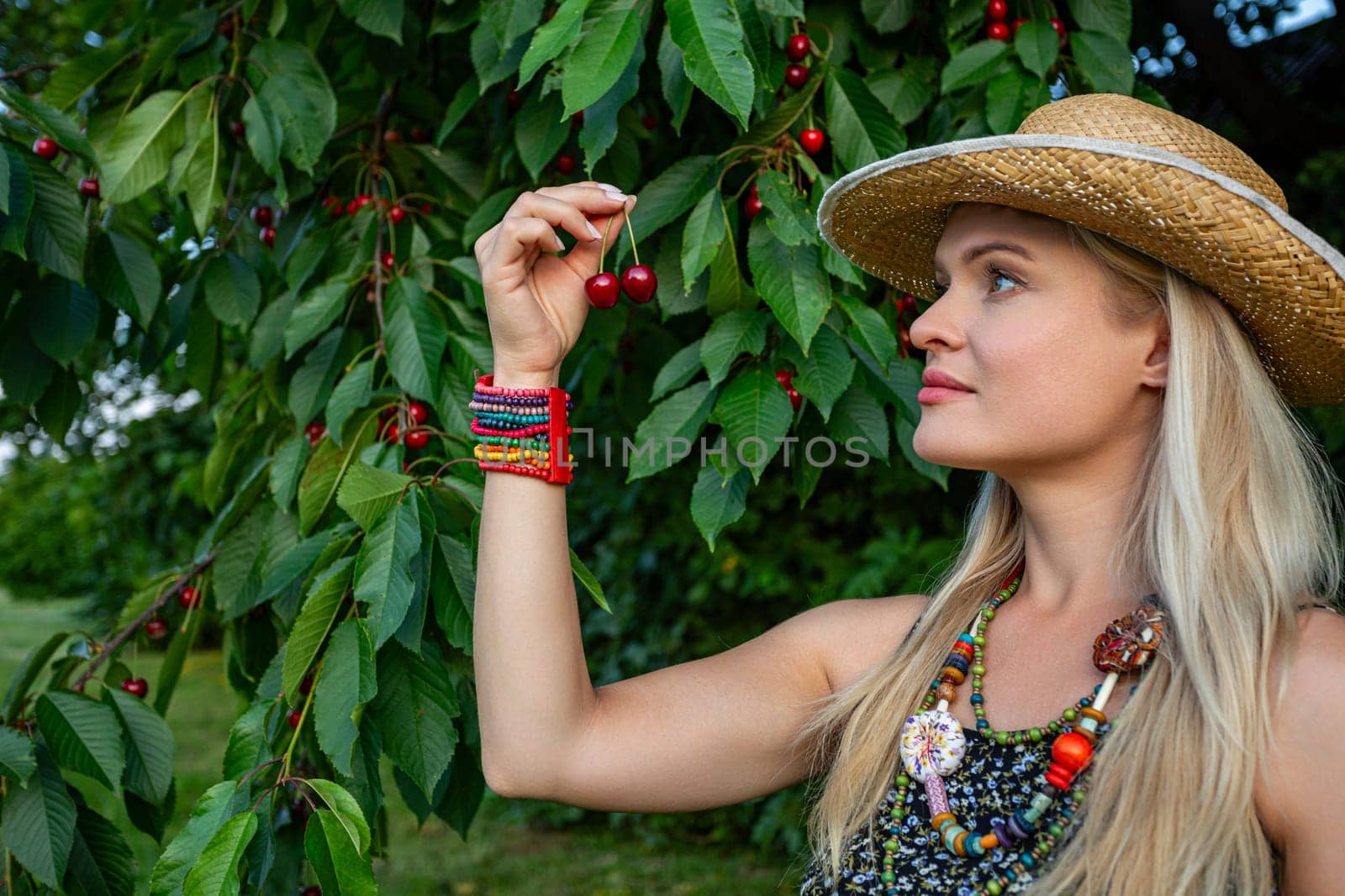 In the midst of a lush cherry orchard stands a radiant scene: a woman adorned in vibrant attire, meticulously plucking cherries from laden branches. With sun-kissed blonde hair cascading from beneath her straw hat, she exudes an aura of summertime splendor. Her attire is a delightful kaleidoscope of hues, accentuated by a colorful necklace draped gracefully around her neck and a matching bracelet adorning her wrist. In one hand, she delicately cradles two ripe cherries, their crimson skins glistening in the warm sunlight. Behind her, the cherry tree bows under the weight of its bountiful harvest, each branch adorned with clusters of luscious, ruby-red fruit. Woman tranquilly stare at cherries, her eyes reflecting the tranquility of the idyllic orchard scene. Amidst nature's abundance, she embodies the essence of summertime bliss, a picturesque moment captured in the heart of the cherry season