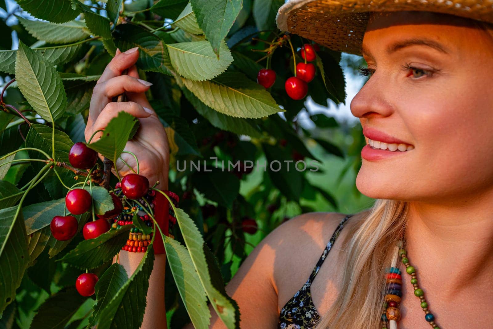 During the summer sunset, a beautiful woman with blonde hair stands, delicately holding a branch of a cherry tree with red cherries on it. Her charming smile indicates her delight as her gaze is fixed towards the setting sun. Holding the branch, a symbol of nature's abundance, she feels close to the earth and the cycle of life. In her hands rests a branch full of ripe cherries, brought from her harvest. The woman's blonde hair frames her face, accentuating her natural beauty, which harmonizes with the surrounding landscape. In the rays of the setting sun, her skin takes on a golden glow, highlighting her grace and serenity. The sunset symbolizes the end of the day and simultaneously the promise of a new beginning. For the woman, this moment is a time of contemplation and gratitude for the beauty of nature. In this idyllic landscape, surrounded by the warm hues of the summer evening, the woman finds peace and joy in the simple pleasures of life, immersing herself in moments of harmony with nature. Her charming smile and expression of enchantment are a tribute to the beauty of the surrounding world and a celebration of the power of nature. In this picturesque scene, the woman is a harmonious part of the landscape, embodying both strength and delicacy, grace, and the force of nature.