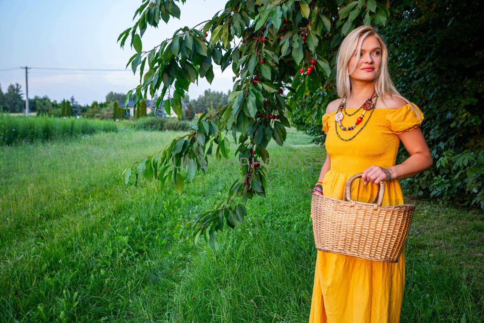 Amidst a picturesque scene, a vision of summertime elegance unfolds. Standing upon a path embraced by lush greenery, a stunning woman with cascading blonde locks captures the essence of tranquility. Her attire, a sunlit yellow dress adorned with delicate shoulder-baring elegance, complements the vibrant hues of the surroundings. A kaleidoscope of beads adorns her neck in the form of a colorful necklace, exuding a playful charm. Adorning one wrist is a bracelet crafted from an array of vibrant beads, adding a touch of whimsy to her ensemble. In her gentle grasp rests a wicker basket, its contents promising a bounty of nature's delights. Beyond her, the boughs of a cherry tree stretch out, heavy with the weight of ripe, ruby-red cherries, a testament to the season's abundance. With a sidelong gaze, she embraces the serenity of the moment, a subtle smile playing upon her lips like a whispered secret shared with the world. In her presence, the air seems to shimmer with a sense of quiet joy, as if the very essence of summer has found its embodiment in her graceful form. This tableau paints a portrait of timeless beauty, where nature's bounty intertwines harmoniously with the radiance of the human spirit.