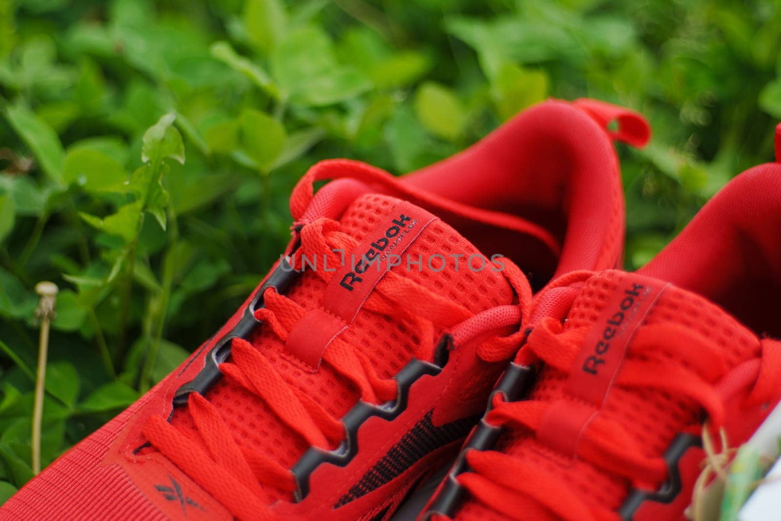 Tyumen, Russia-June 20, 2024: Sneakers red Reebok men model Nanoflex EK M2.