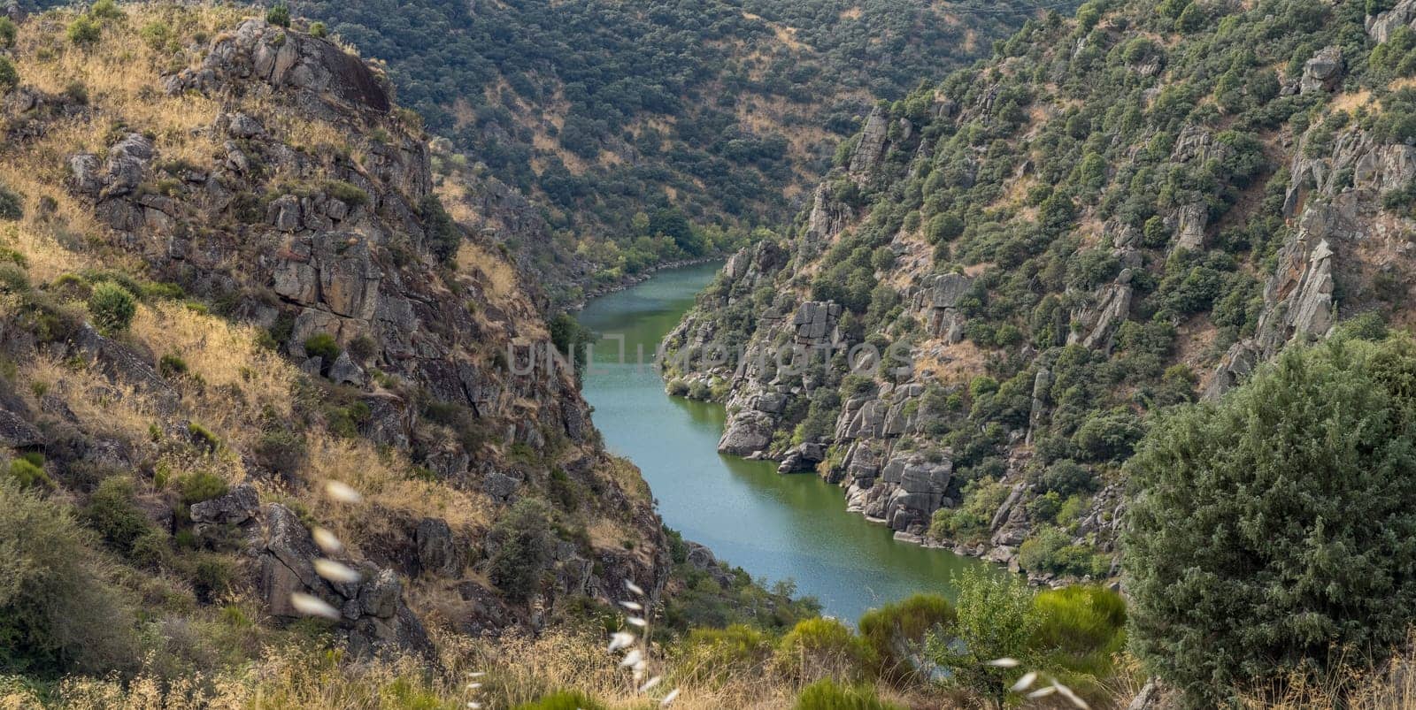 A serene river meanders through rocky terrain, enveloped by lush vegetation.