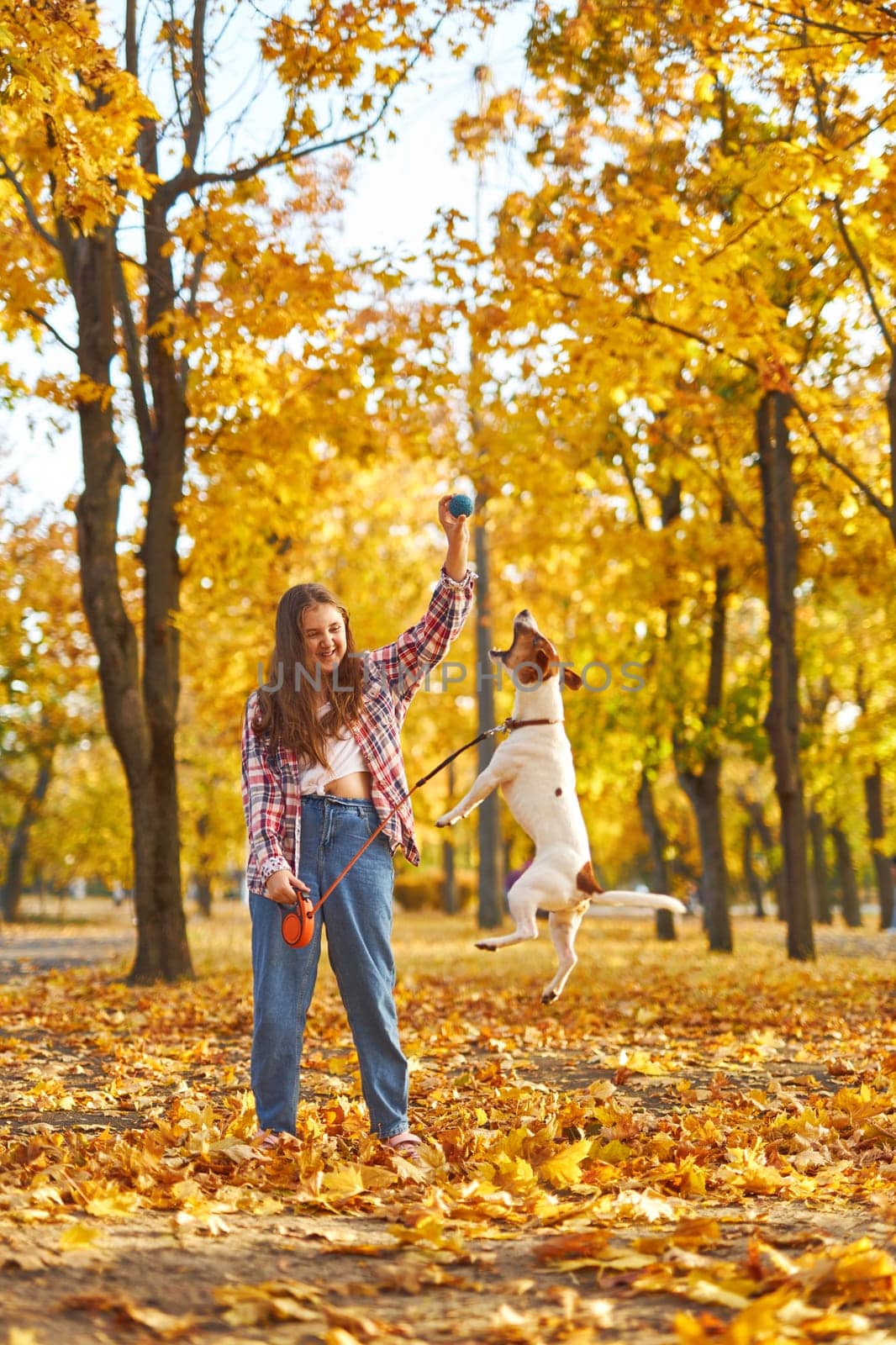 Happy joyful little girl playing with her funny Jack Russell Terrier in beautiful autumn forest, child playing and having fun with dog during walk in nature. Children and pets outdoors