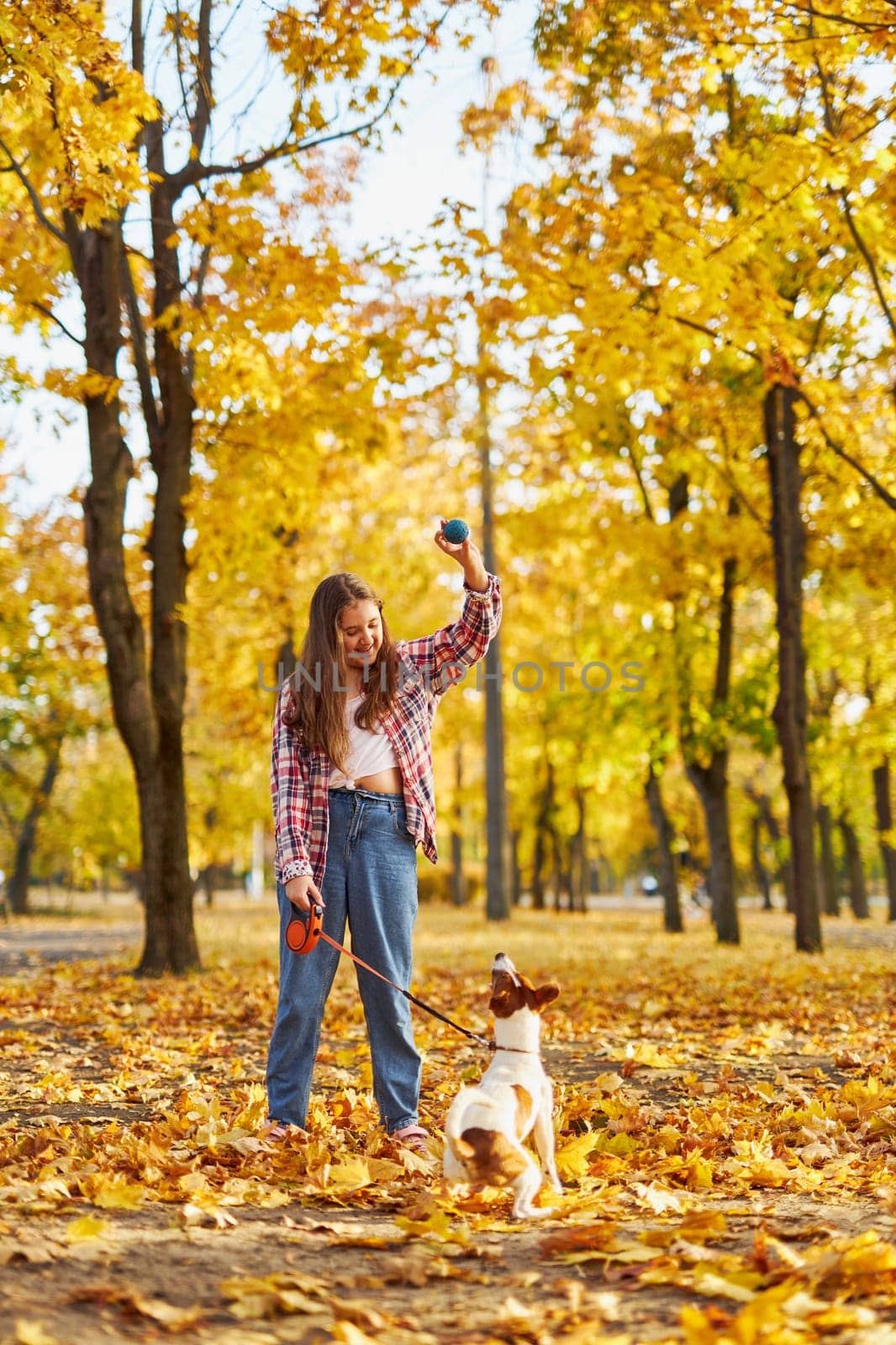 Happy joyful little girl playing with her funny Jack Russell Terrier in beautiful autumn forest, child playing and having fun with dog during walk in nature. Children and pets outdoors