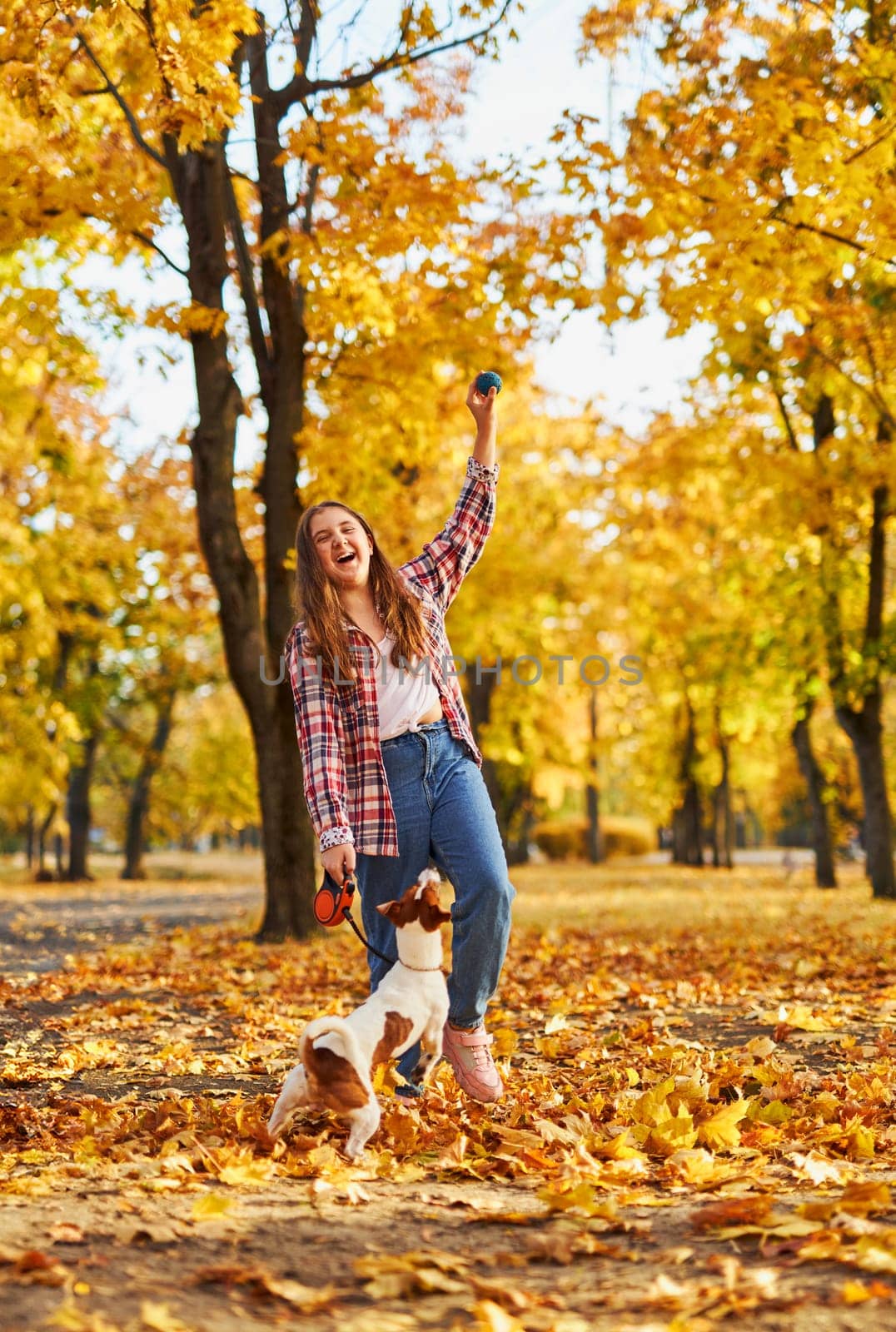 Happy joyful little girl playing with her funny Jack Russell Terrier in beautiful autumn forest, child playing and having fun with dog during walk in nature. Children and pets outdoors