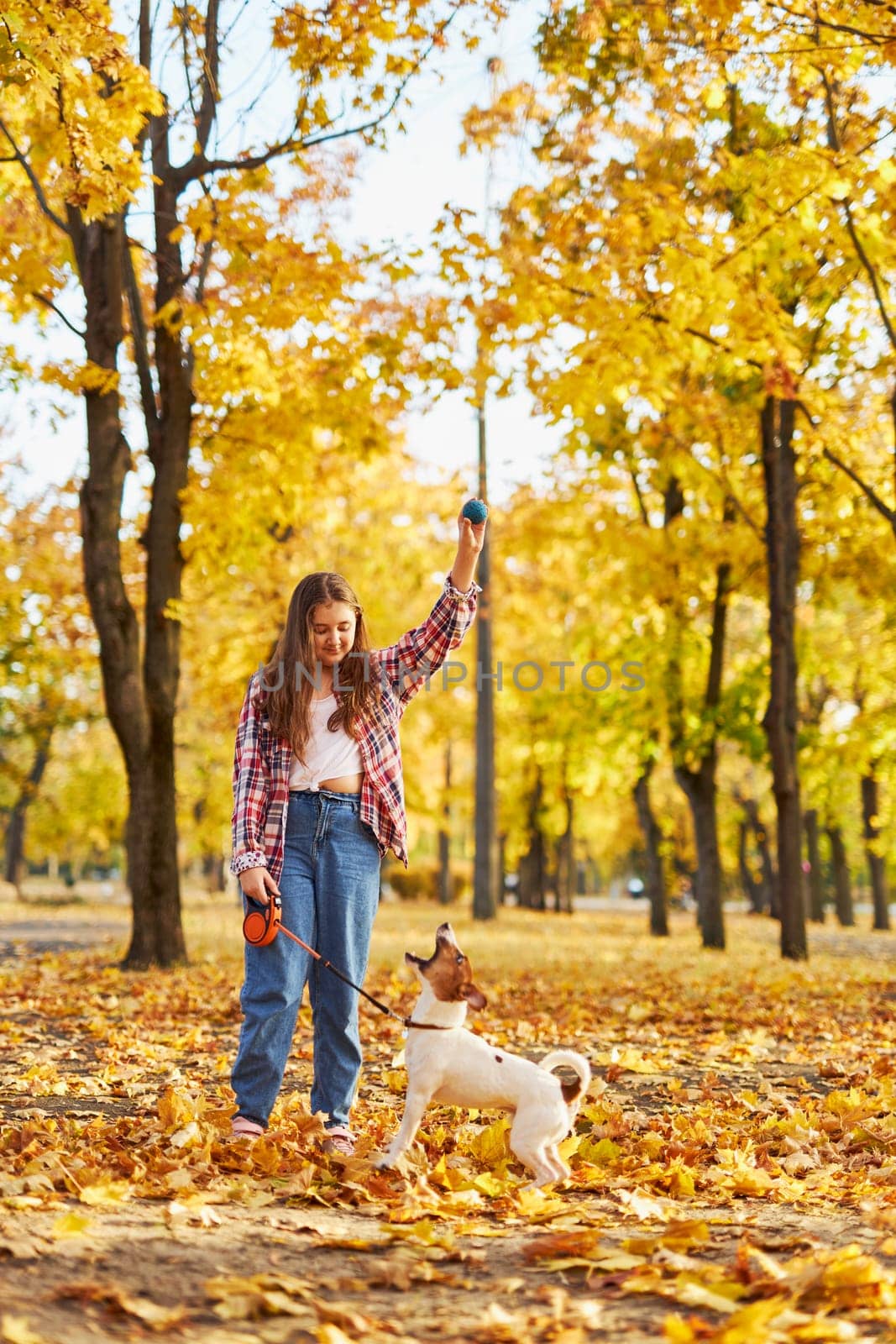 Happy joyful little girl playing with her funny Jack Russell Terrier in beautiful autumn forest, child playing and having fun with dog during walk in nature. Children and pets outdoors