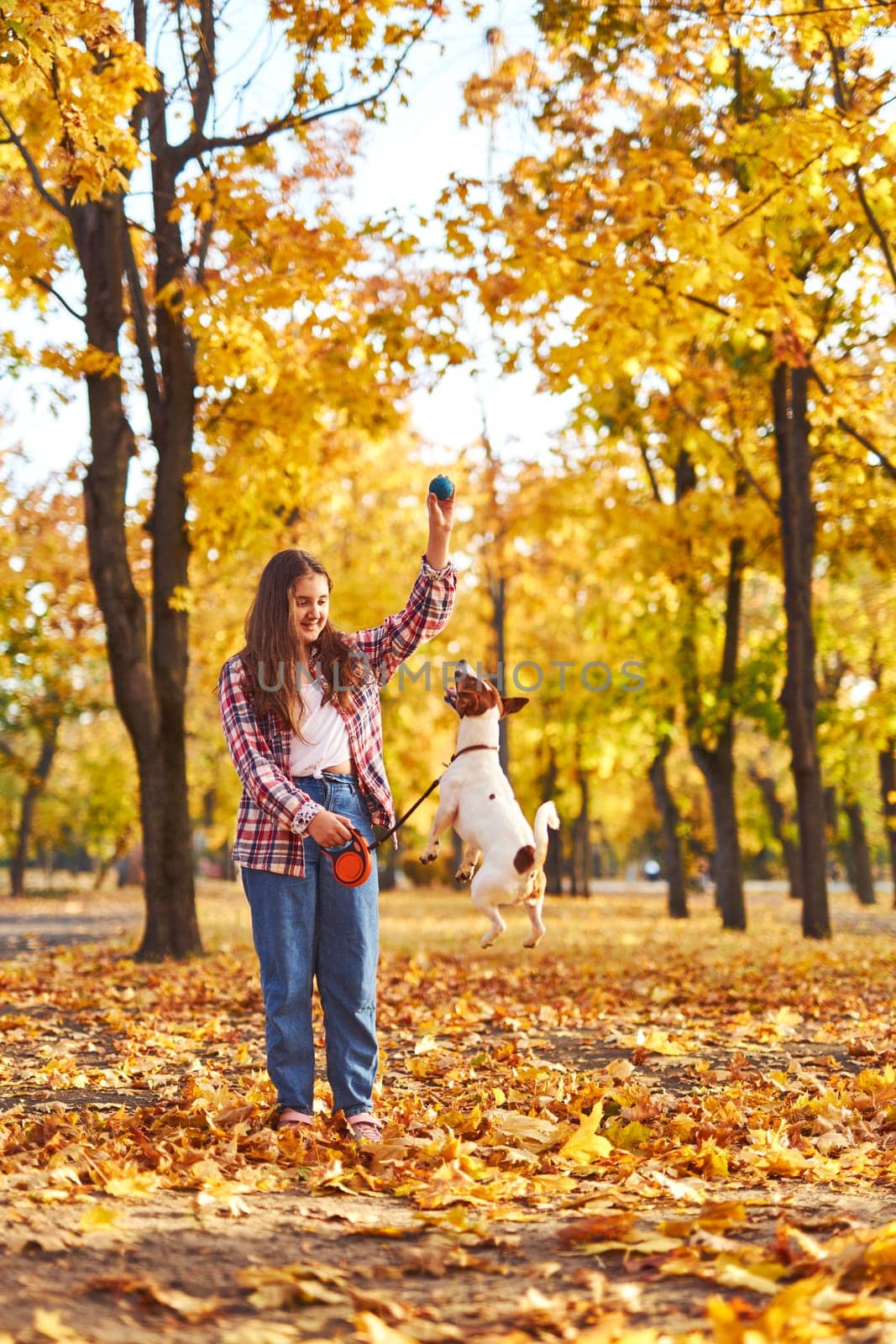 Happy joyful little girl playing with her funny Jack Russell Terrier in beautiful autumn forest, child playing and having fun with dog during walk in nature. Children and pets outdoors
