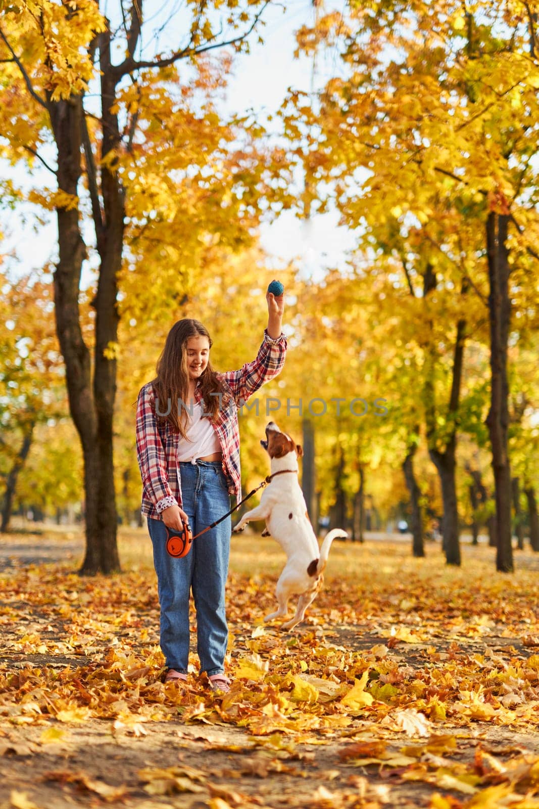 Happy joyful little girl playing with her funny Jack Russell Terrier in beautiful autumn forest, child playing and having fun with dog during walk in nature. Children and pets outdoors