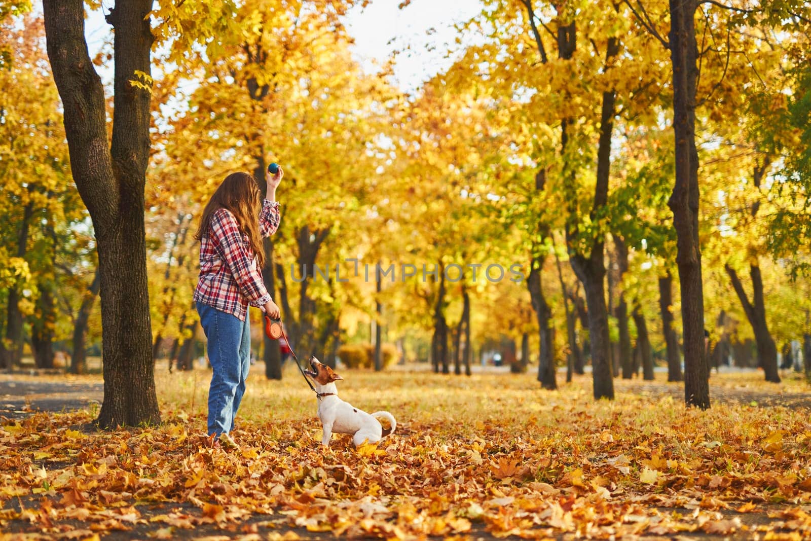 Happy joyful little girl playing with her funny Jack Russell Terrier in beautiful autumn forest, child playing and having fun with dog during walk in nature. Children and pets outdoors