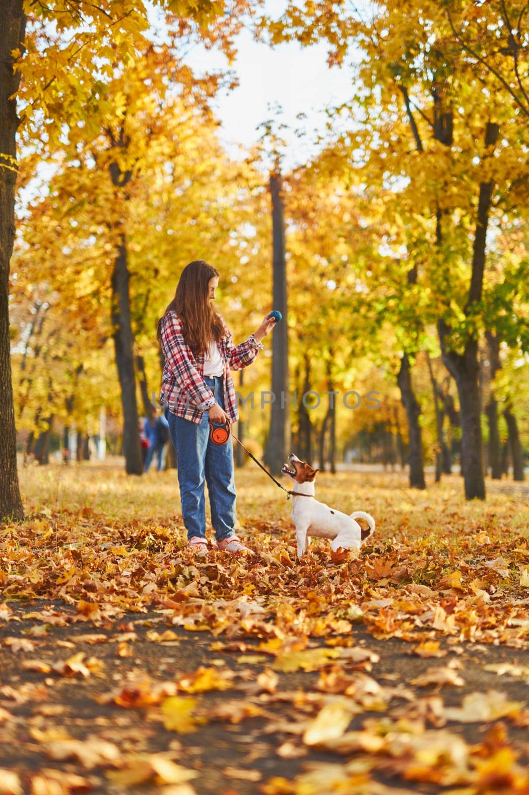 Happy joyful little girl playing with her funny Jack Russell Terrier in beautiful autumn forest, child playing and having fun with dog during walk in nature. Children and pets outdoors