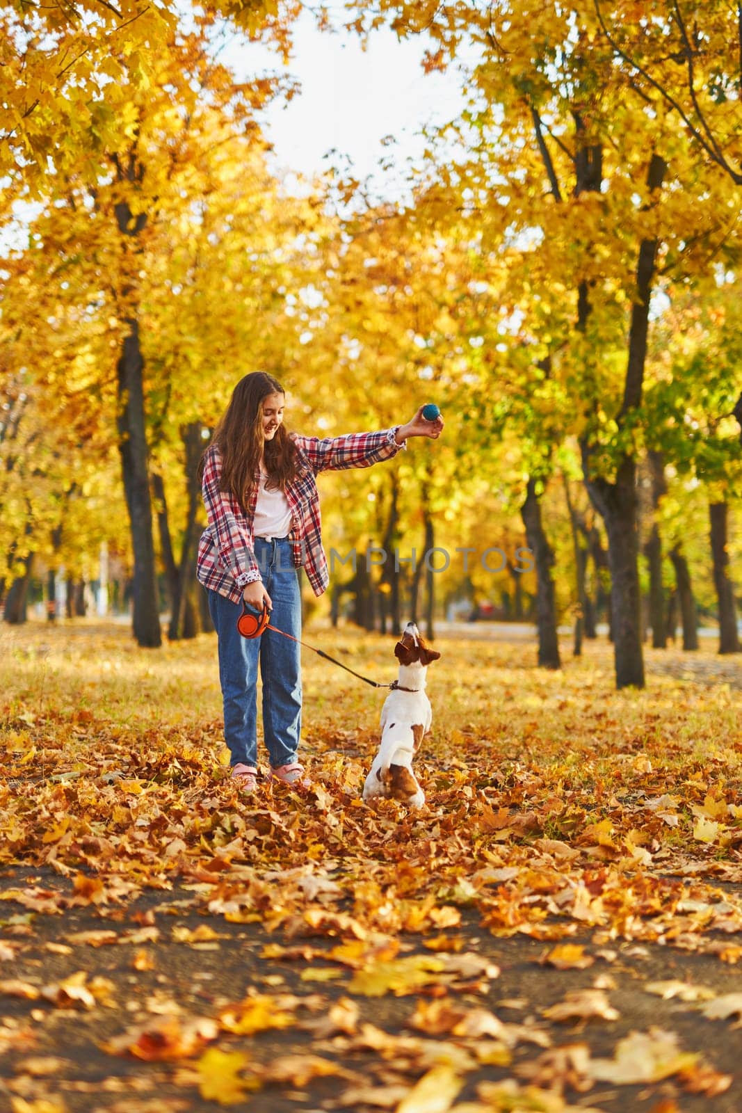 Happy joyful little girl playing with her funny Jack Russell Terrier in beautiful autumn forest, child playing and having fun with dog during walk in nature. Children and pets outdoors