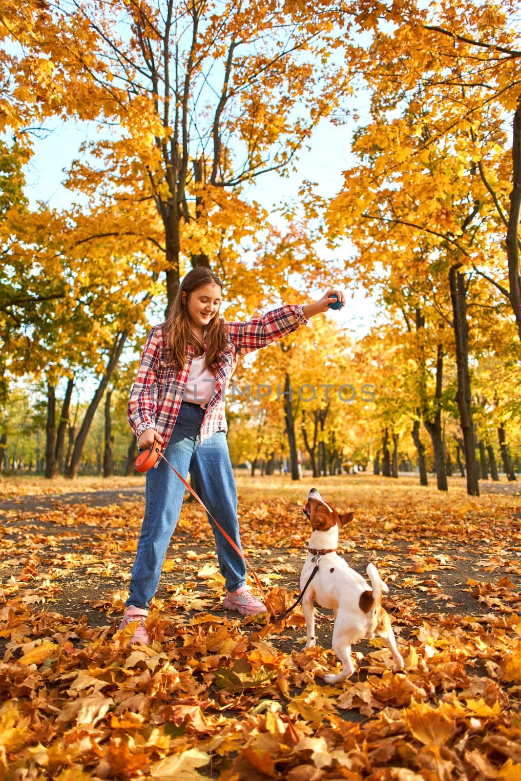 Happy joyful little girl playing with her funny Jack Russell Terrier in beautiful autumn forest, child playing and having fun with dog during walk in nature. Children and pets outdoors