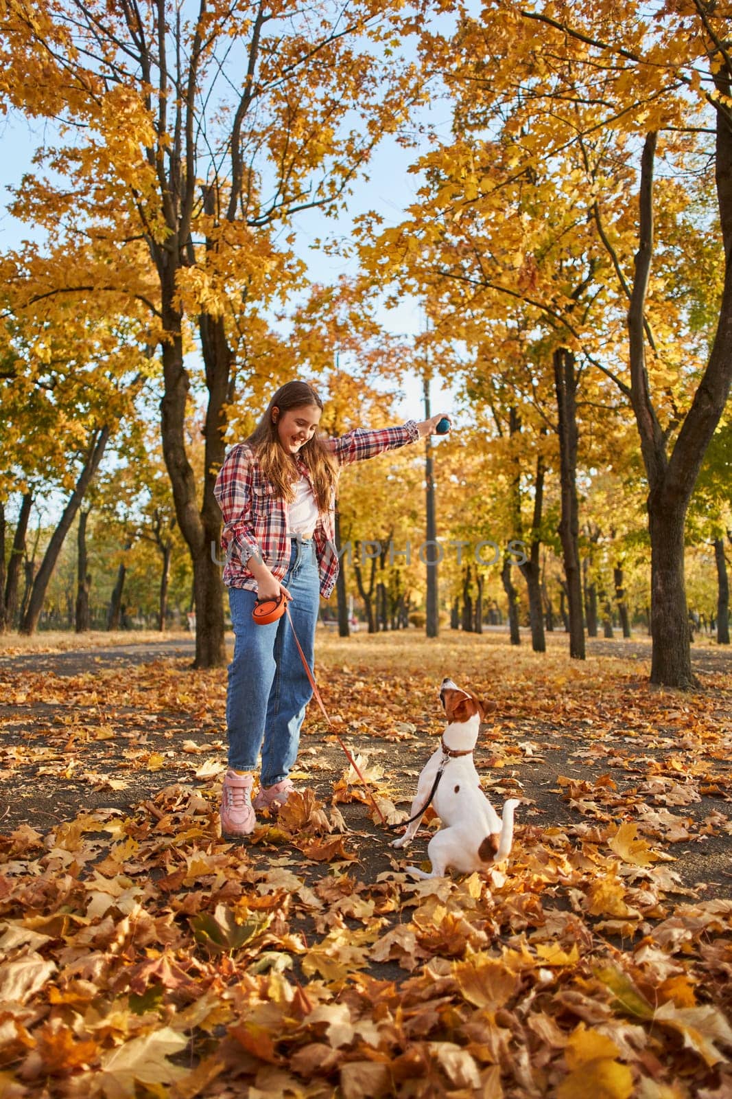 Happy joyful little girl playing with her funny Jack Russell Terrier in beautiful autumn forest, child playing and having fun with dog during walk in nature. Children and pets outdoors