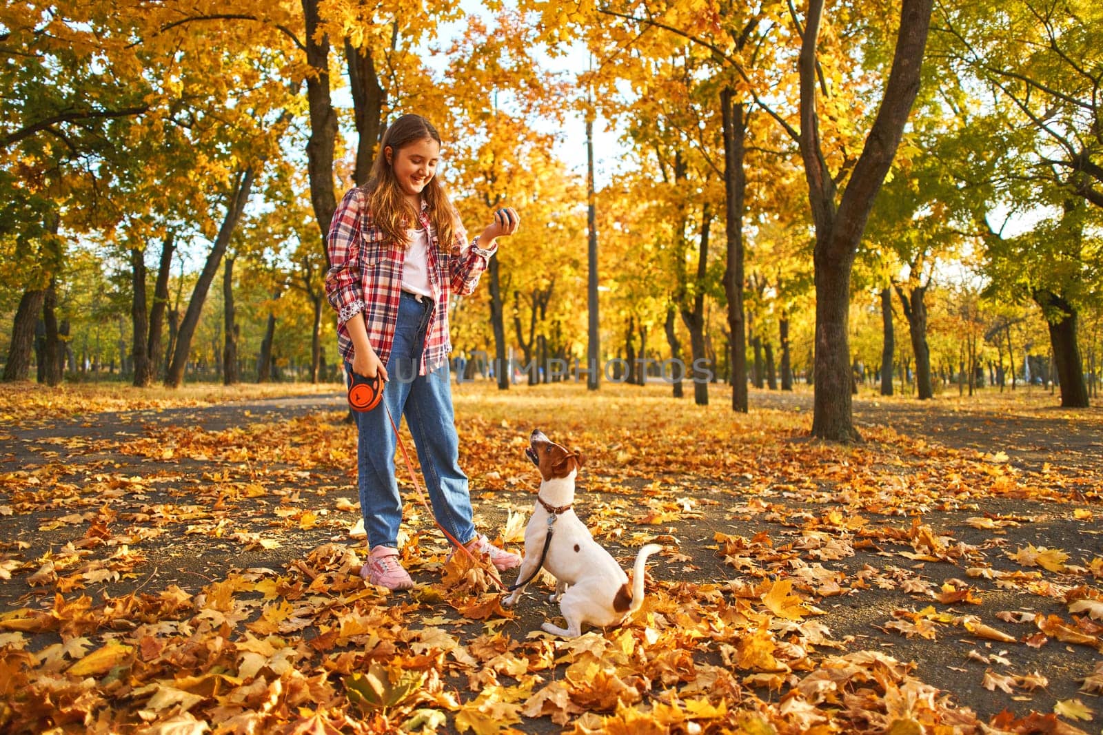 Happy joyful little girl playing with her funny Jack Russell Terrier in beautiful autumn forest, child playing and having fun with dog during walk in nature. Children and pets outdoors