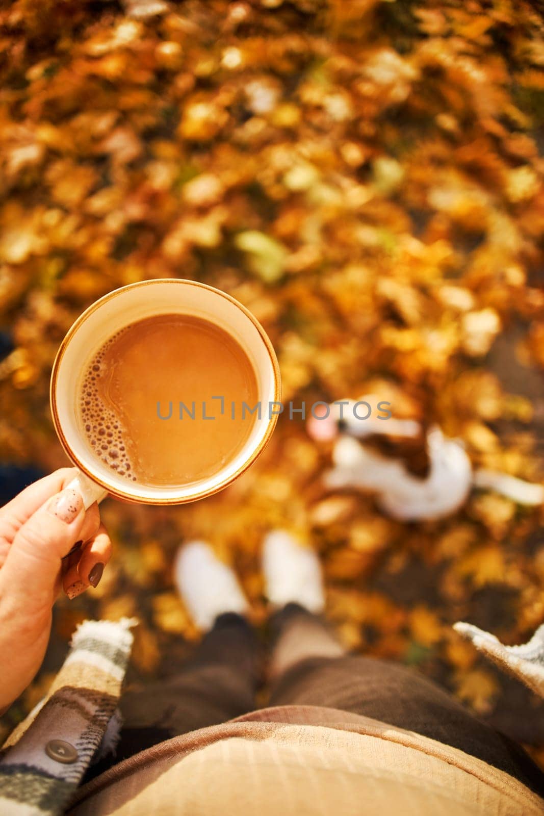 Autumn mood. Top view of a female figure with a mug of coffee against the background of fallen orange leaves, a pumpkin and a dog