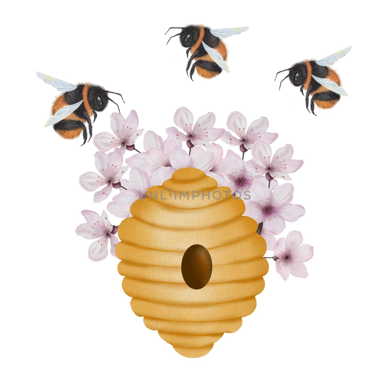 Beehive with bees watercolor. Hand drawn bee house with flowers and bumblebees on isolated white background. Clip art of bumblebee dwelling. Ideal for honey shop design, natural cosmetics and bee products. High quality illustration