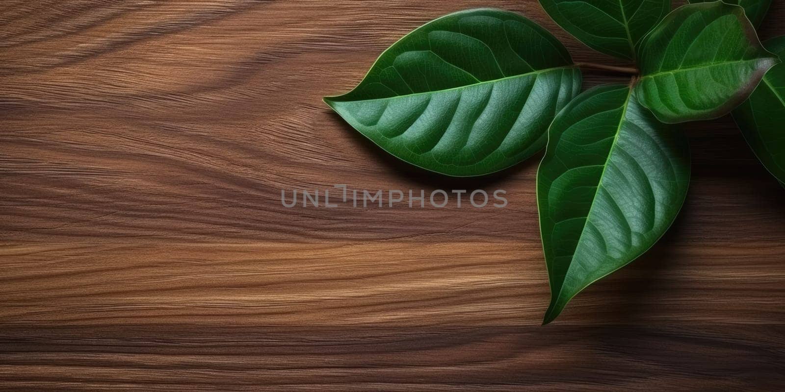 Flat lay photo brown wooden and green leaf around it, copy space background. Generative AI image weber.