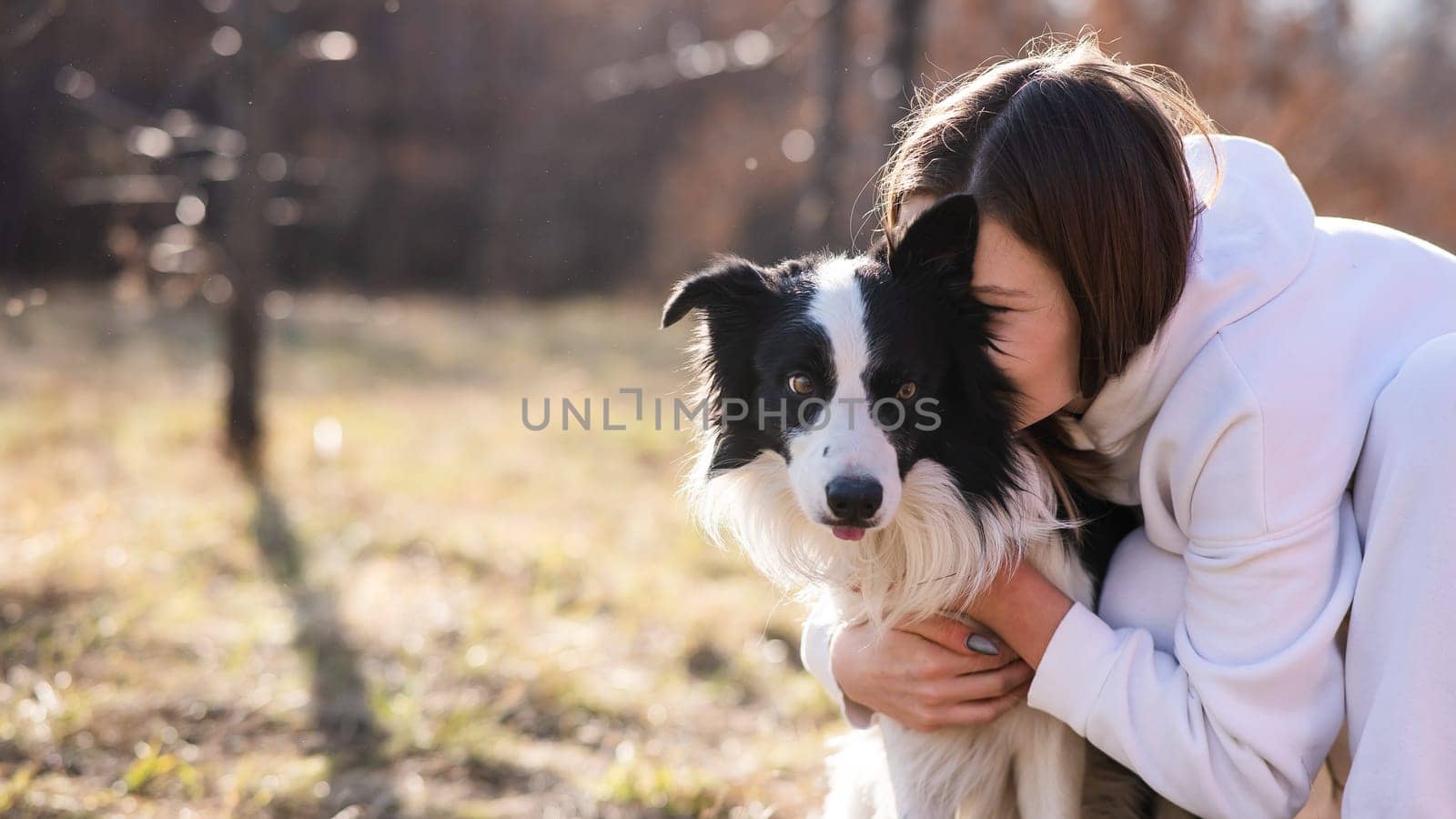 Caucasian woman hugging her dog Border Collie while sitting on a bench in autumn park. by mrwed54