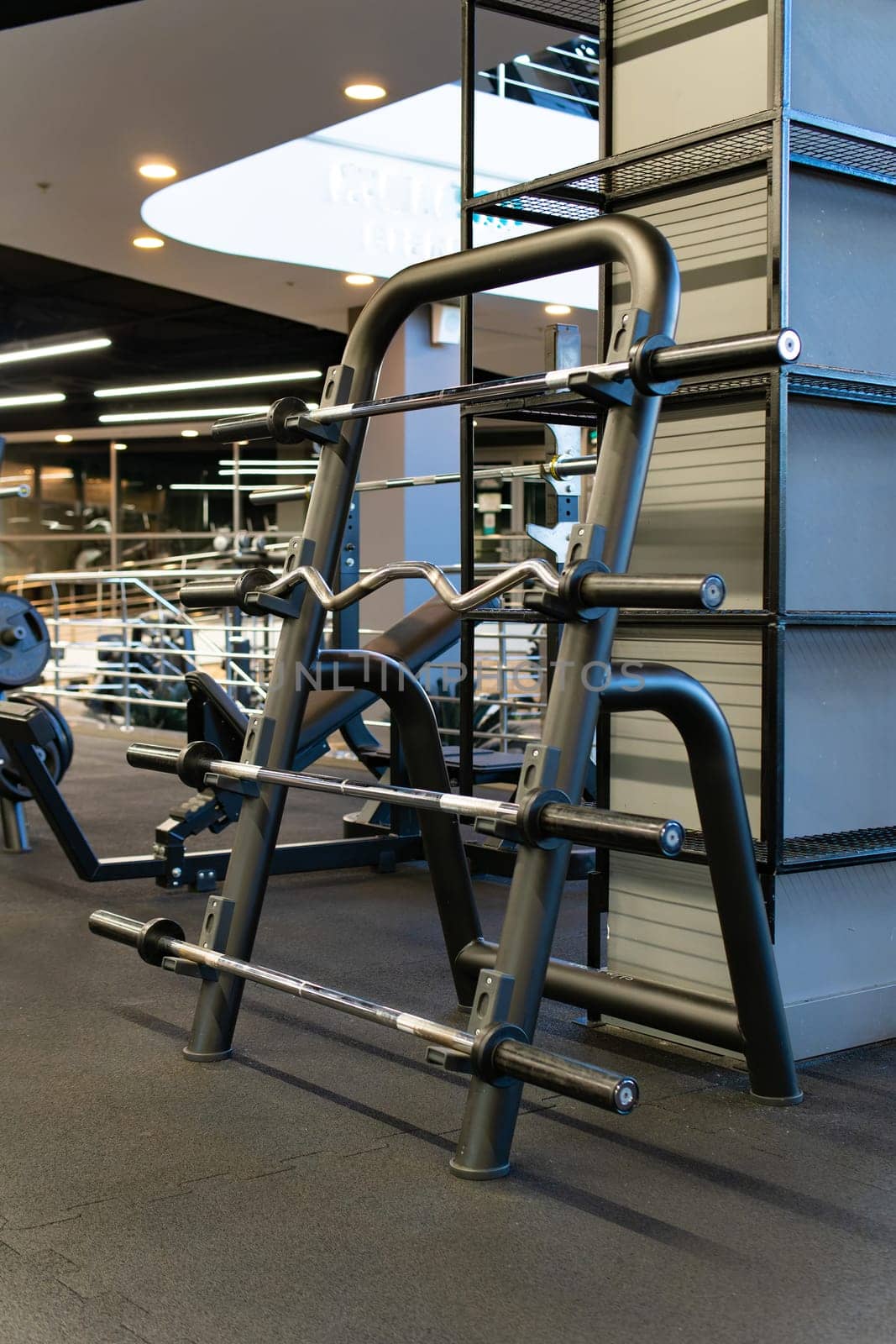 modern club heavy lifestyle healthy exercise gym equipment sport fitness machine health
