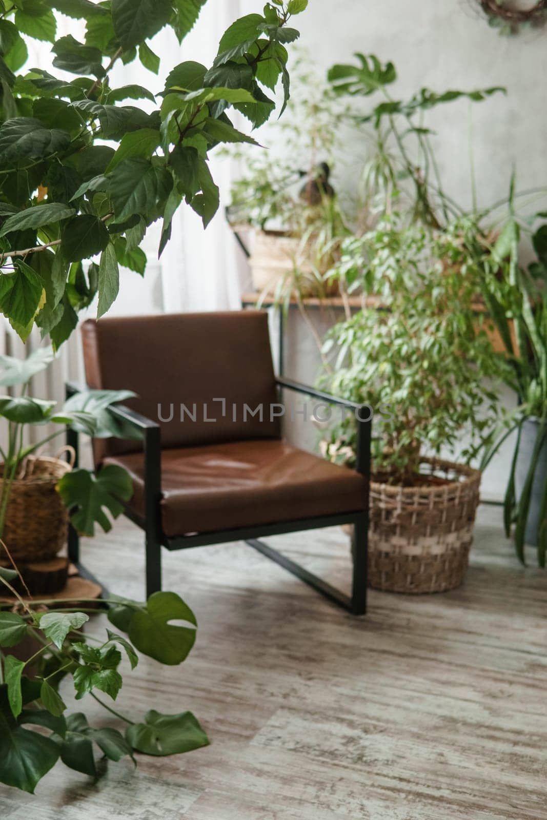 A fragment of the interior with a variety of indoor plants and plaster sculptures. Urban jungle concept. Biophilia design.