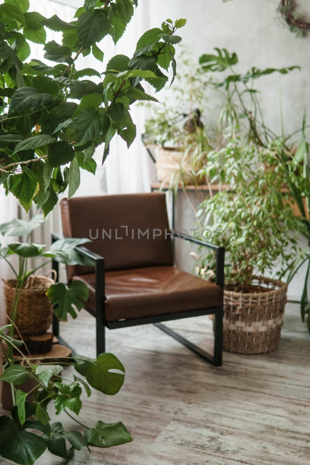 A fragment of the interior with a variety of indoor plants and plaster sculptures. Urban jungle concept. Biophilia design.