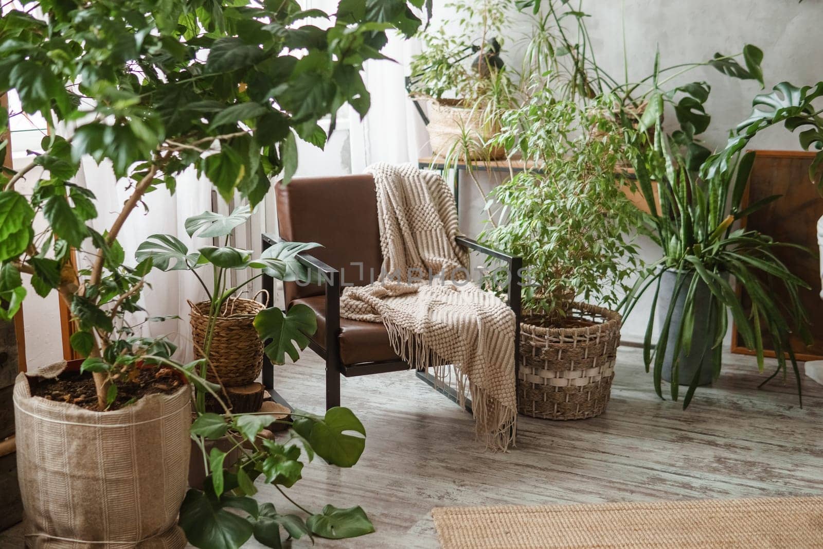 A fragment of the interior with a variety of indoor plants and plaster sculptures. Urban jungle concept. Biophilia design.