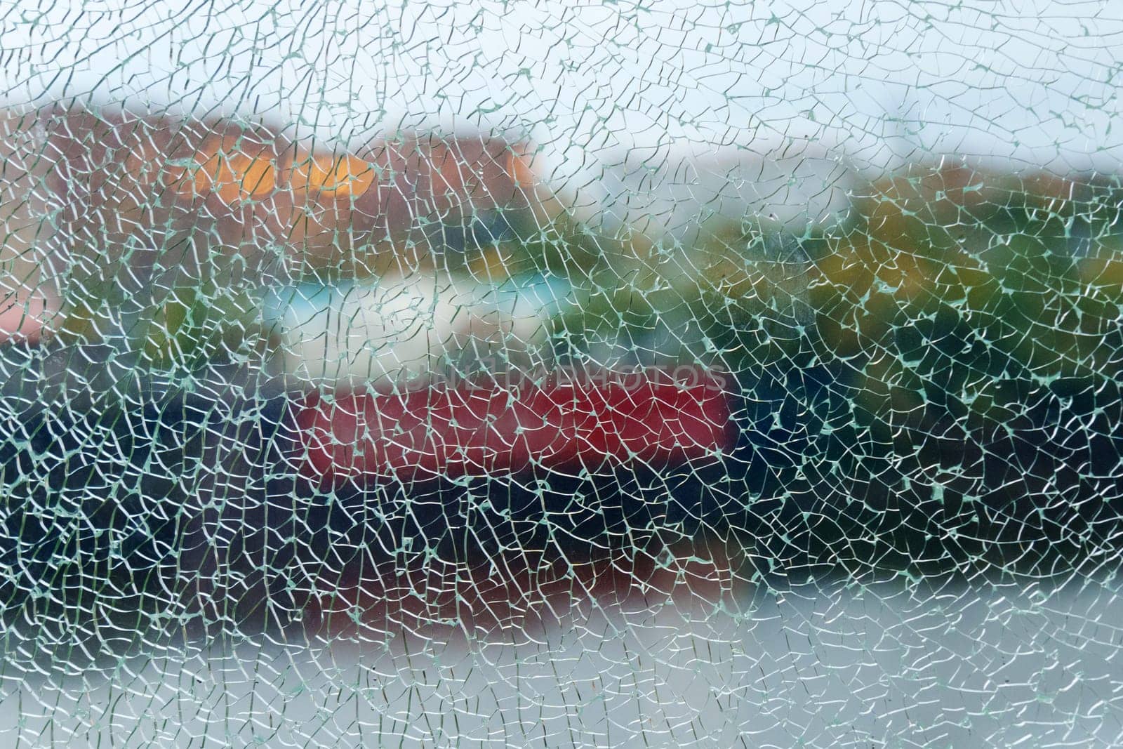 A shattered glass texture beautifully blurs the vibrant colors of the garden beyond, capturing a moment of fractured reflection