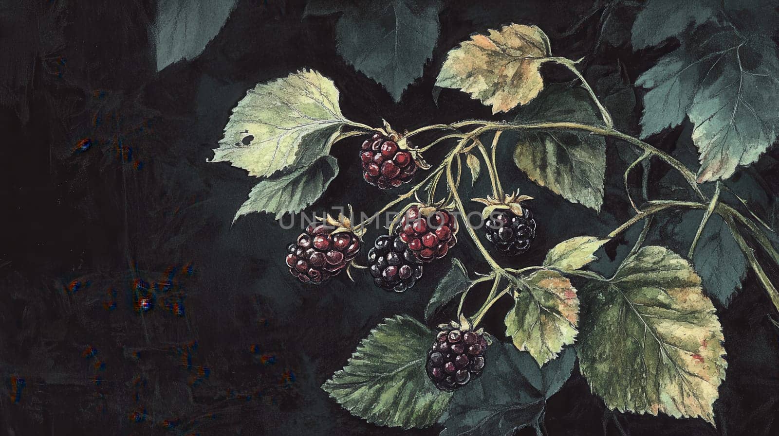 Detailed botanical drawing showcasing blackberry on dark background