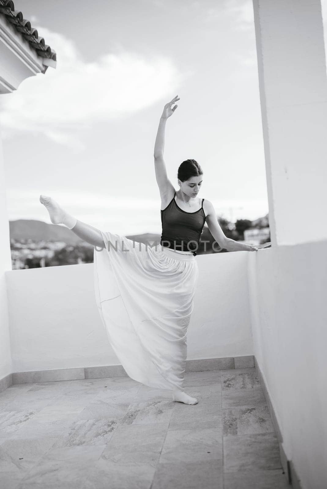 A poised ballet dancer gracefully showcases her elegance and skill against a beautiful scenic backdrop