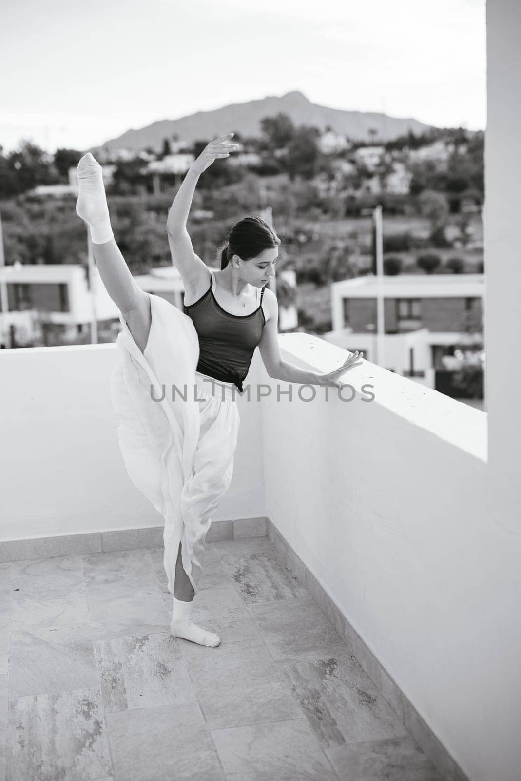 On a rooftop offering stunning scenic views, a serene ballet dancer poses with graceful elegance and poise
