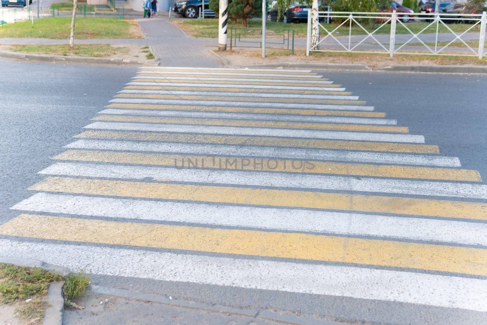 city cross stop urban street crosswalk child kid zebra safety walk pedestrian road little traffic