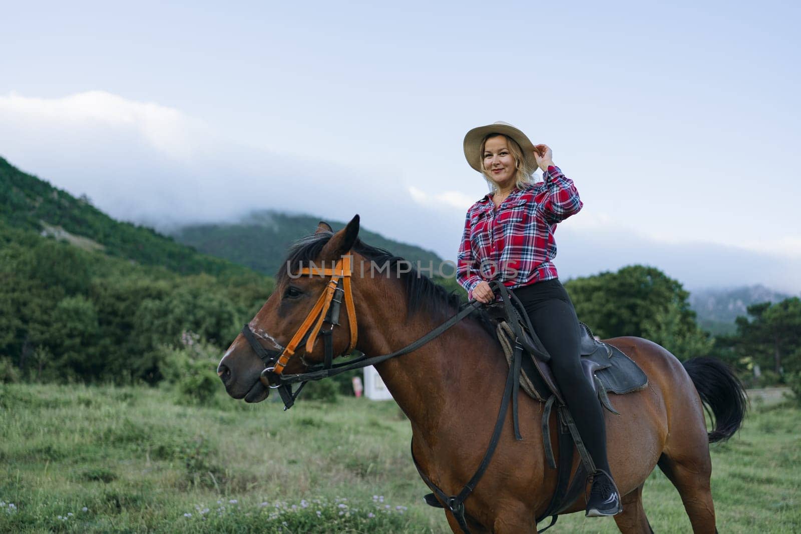 A woman is riding a horse in a field. The woman is wearing a plaid shirt and a straw hat. The horse is brown and is standing in a grassy field. The sky is blue