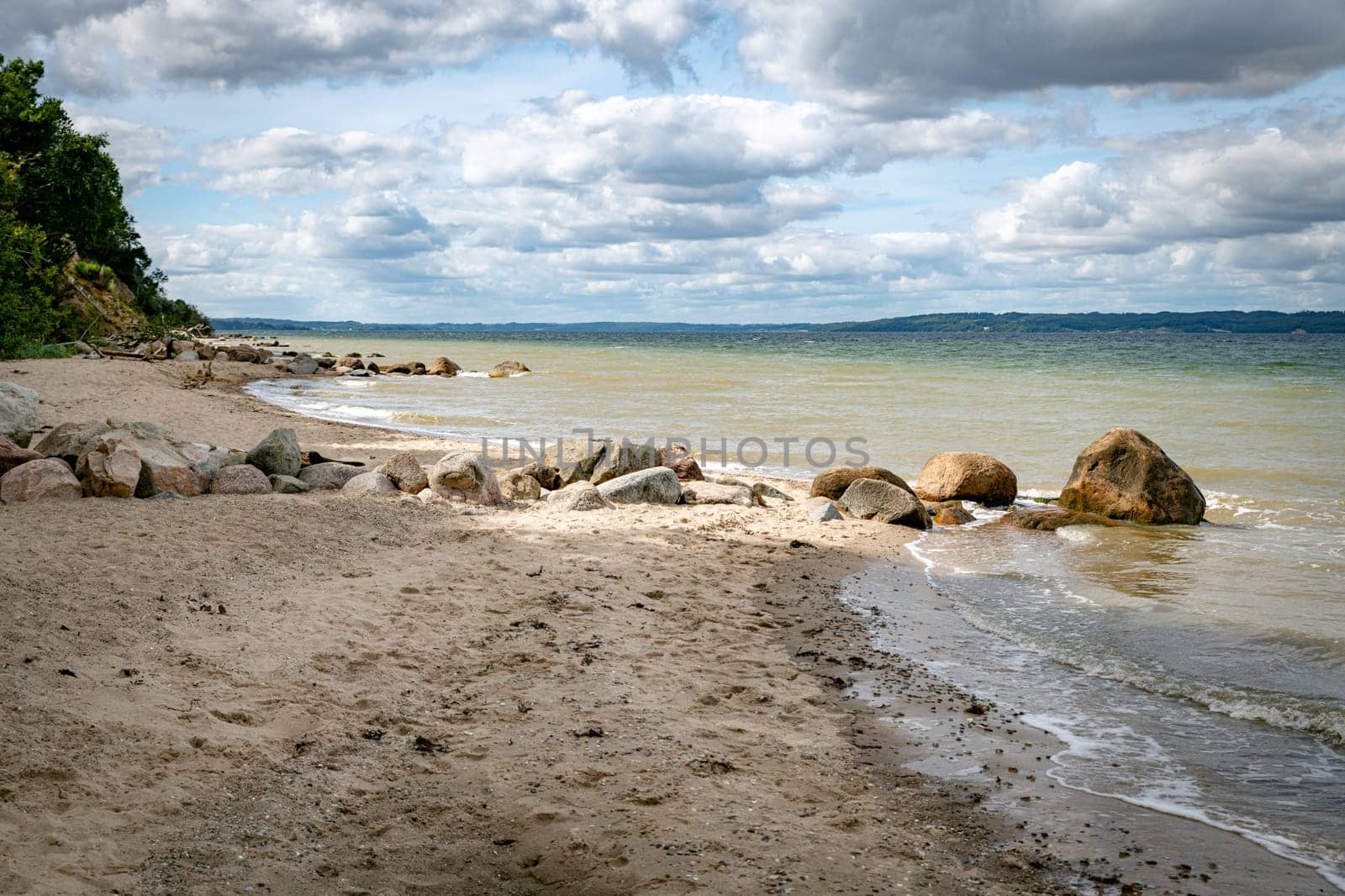 beach with rocks in denmark with lot of green plants and trees trelde naes at the kattegat water