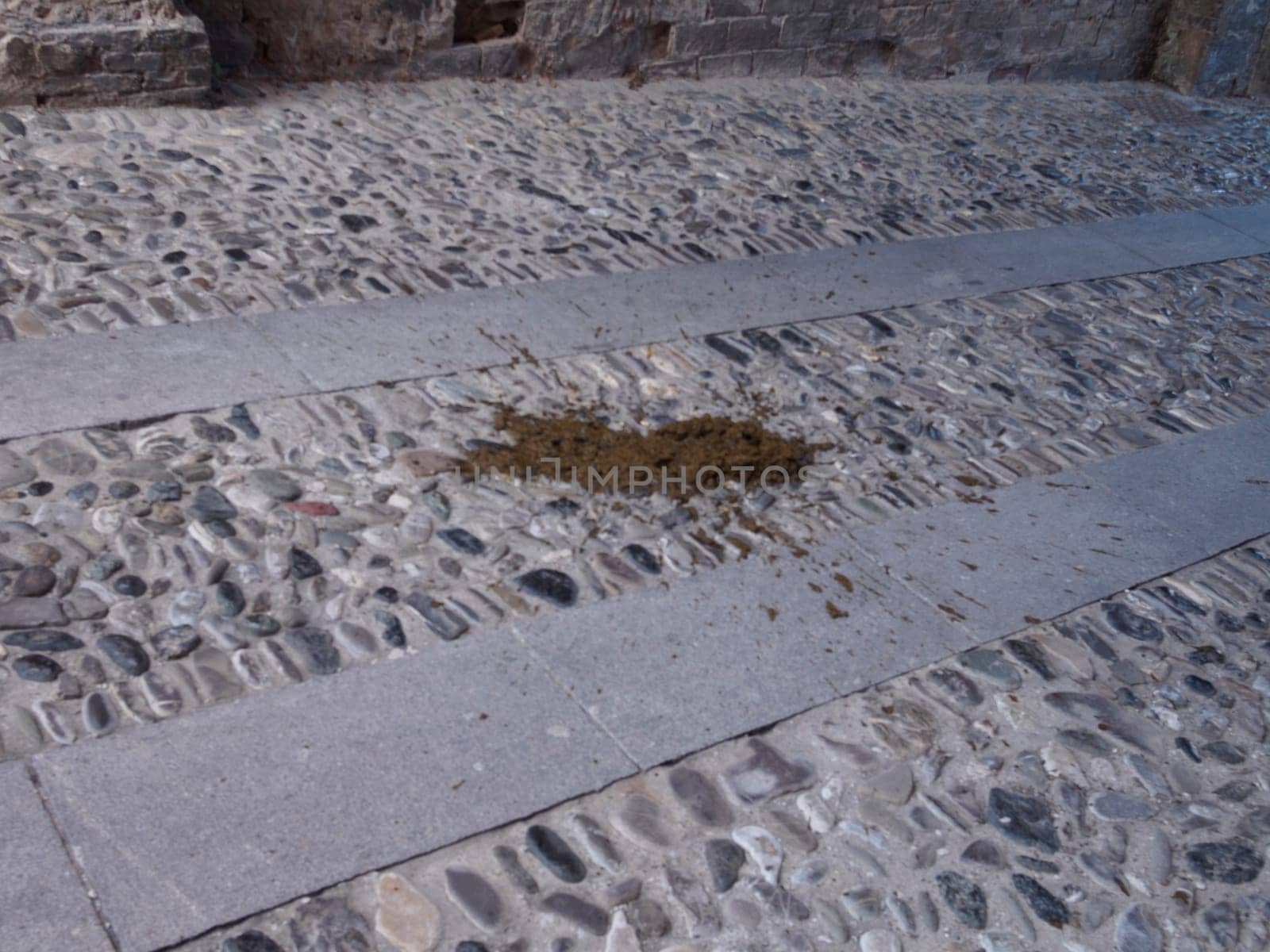 Cremona, Italy August 31st 2024 A substantial pile of horse manure is laying in the middle of a cobblestone street