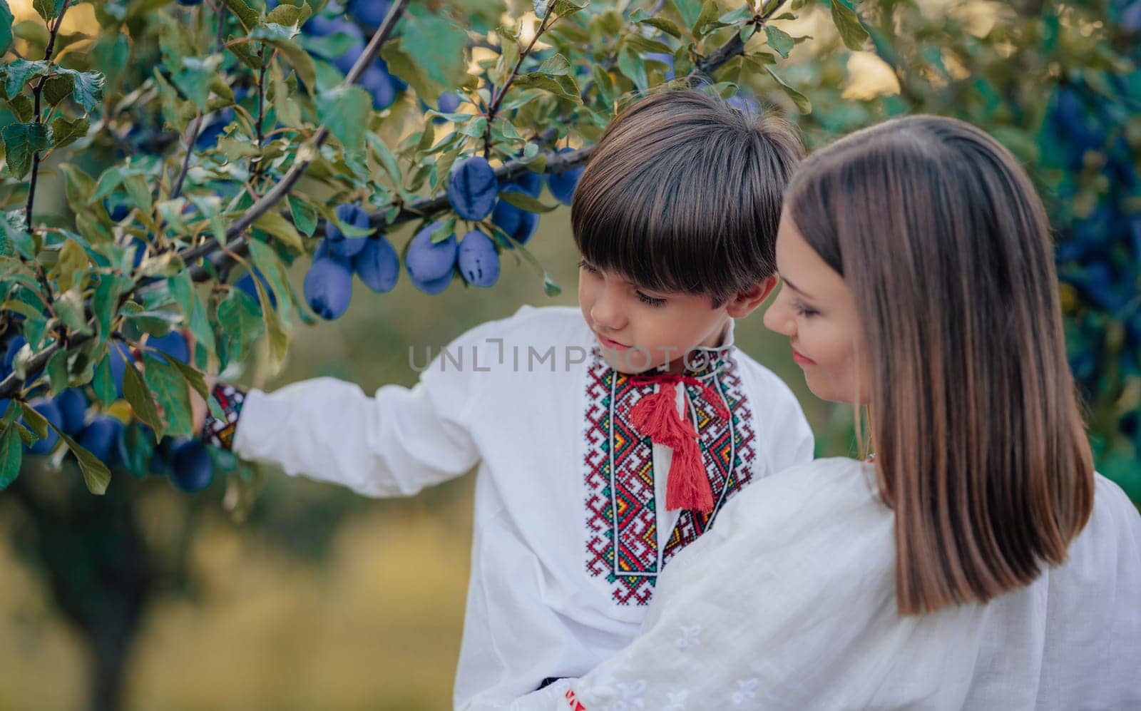 Portrait of beautiful ukrainian family 4 years old boy, mother in plum orchard by kristina_kokhanova