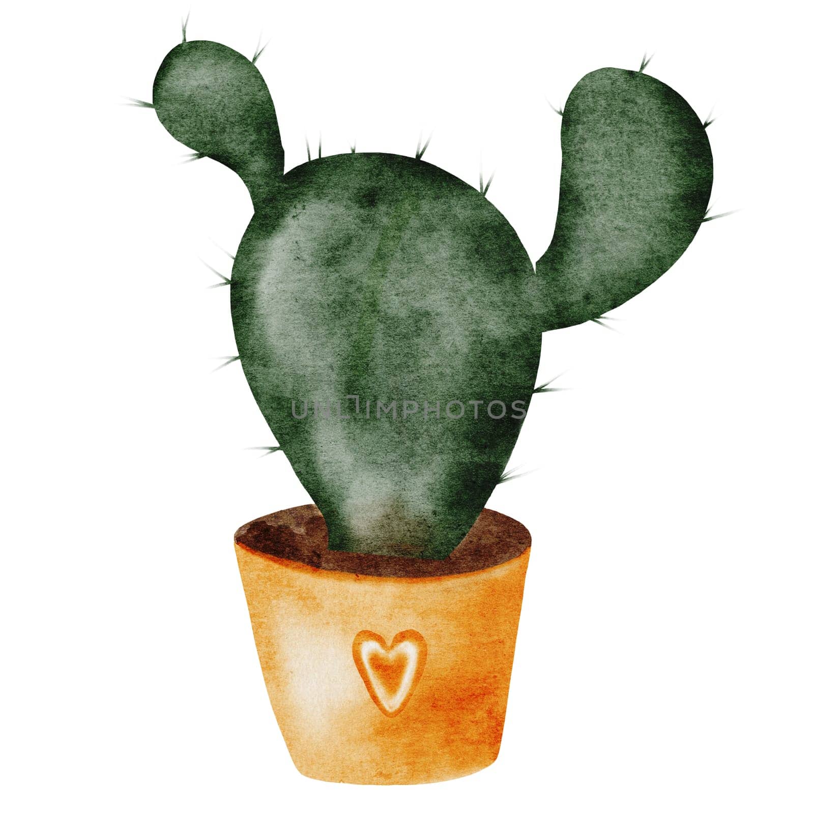 Cactus cartoon watercolor. Cute potted plant hand drawn on isolated white background. Clip art plant in naive style. Ideal for educational cards and posters. High quality illustration