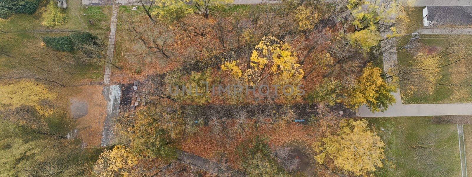 Top view of green area from building, green trees with golden leaves in autumn season. Territory with streets and road. Exterior, nature, fresh air concept