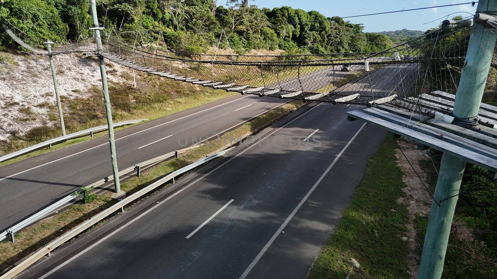 mata de sao joao, bahia, brazil - september 9, 2024: View of a wild animal flyover on the BA 099 highway in the Praia do Forte region.