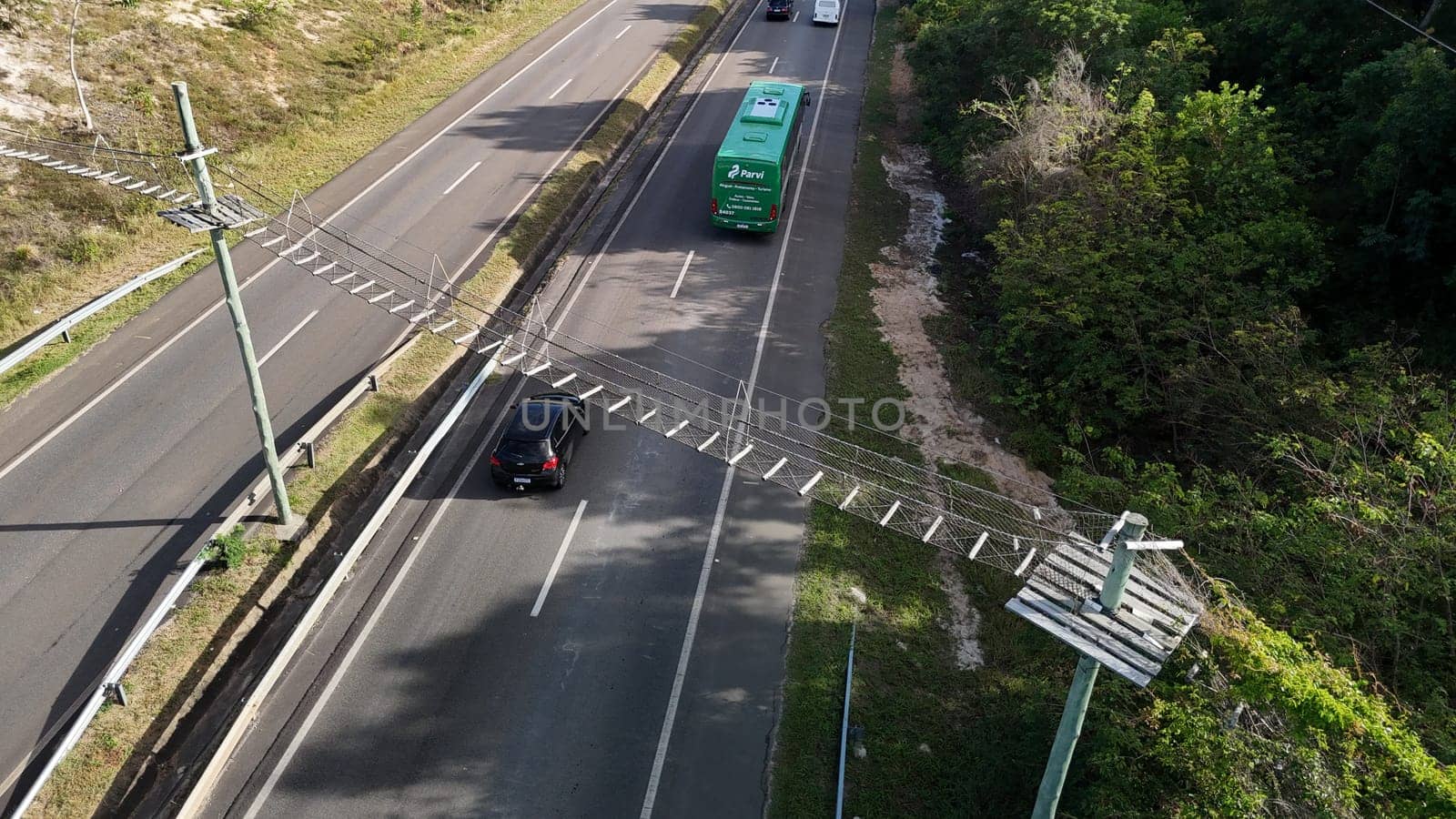 mata de sao joao, bahia, brazil - september 9, 2024: View of a wild animal flyover on the BA 099 highway in the Praia do Forte region.
