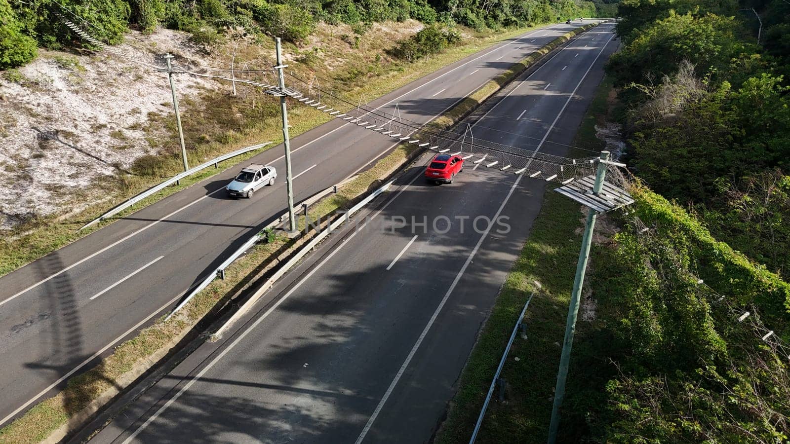 mata de sao joao, bahia, brazil - september 9, 2024: View of a wild animal flyover on the BA 099 highway in the Praia do Forte region.