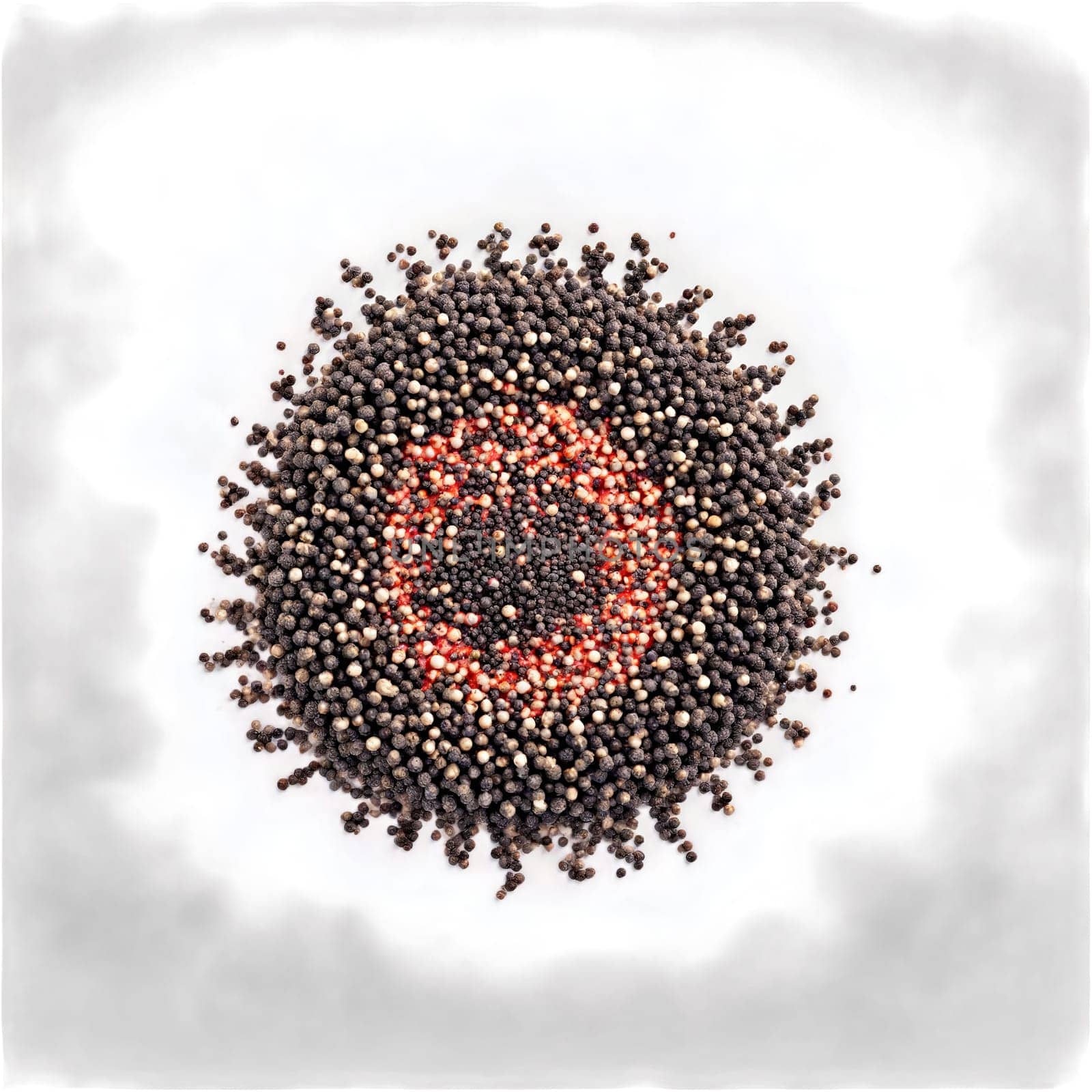 Black pepper mandala a pungent circular design of black peppercorns with powder grinding and steam. Food isolated on transparent background.
