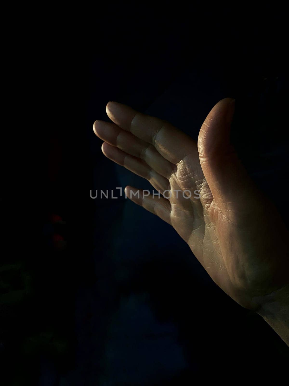 A woman's hand stretched up and forward to the light, the concept of asking for help, salvation, faith. High quality photo