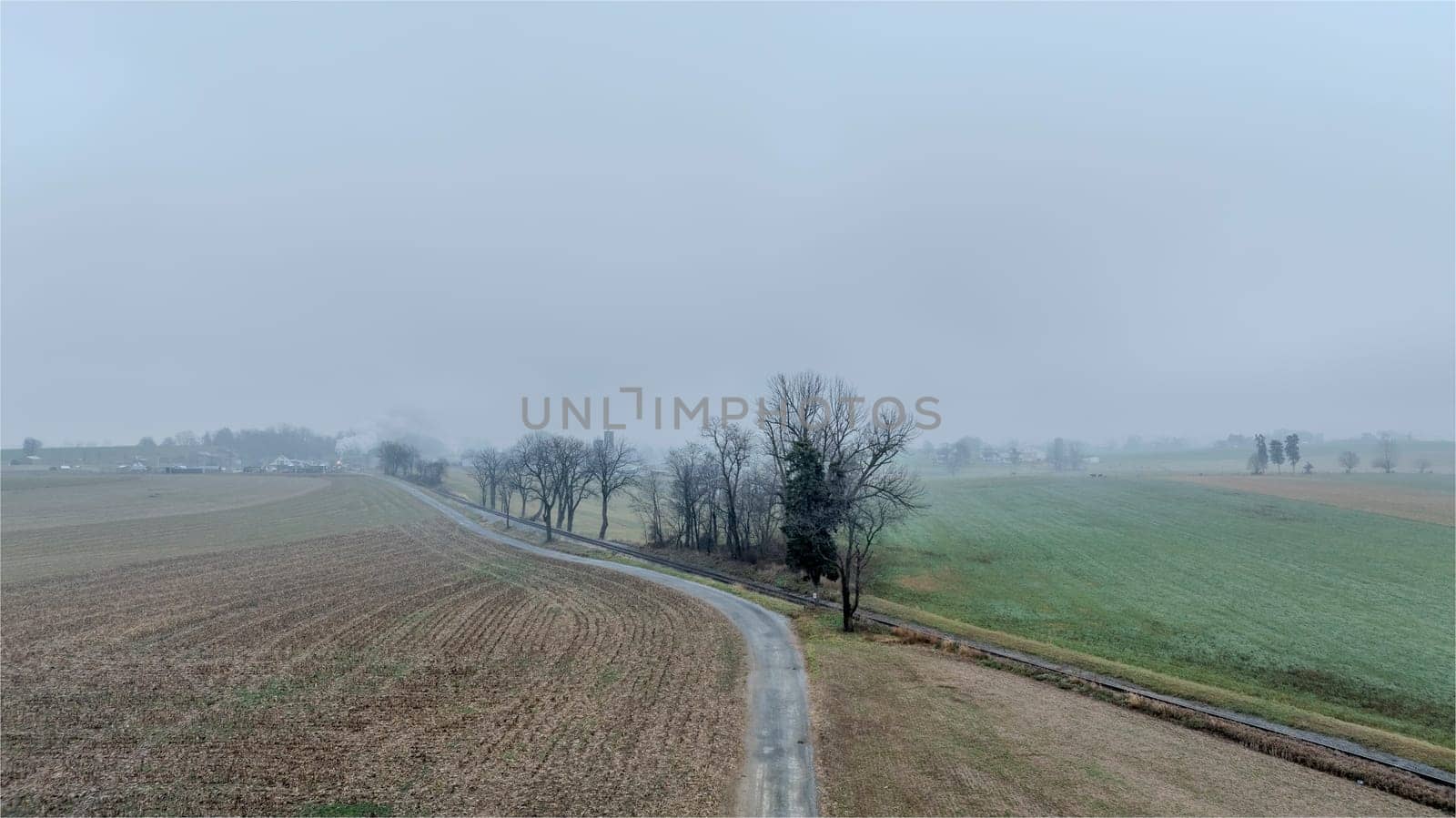 A serene rural road cuts through freshly tilled fields under a blanket of morning fog, revealing trees silhouetted against the hazy backdrop. Nature awakens softly in springtime.