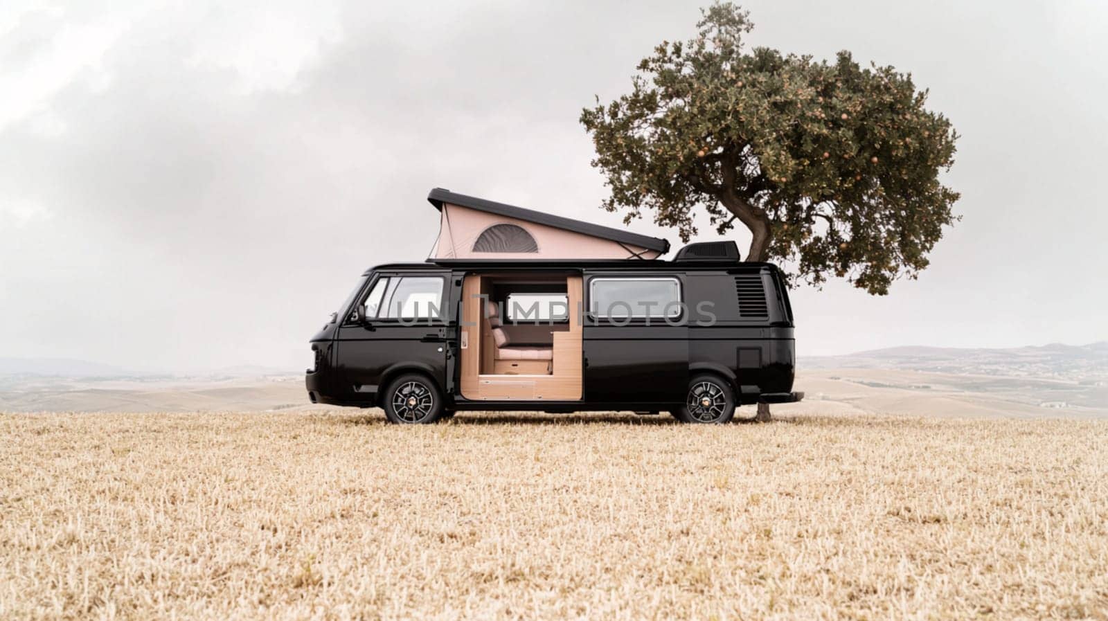 A stylish black camper van parked in a golden field under a tree. The van features a pop-up roof and a modern design, set against a cloudy sky.