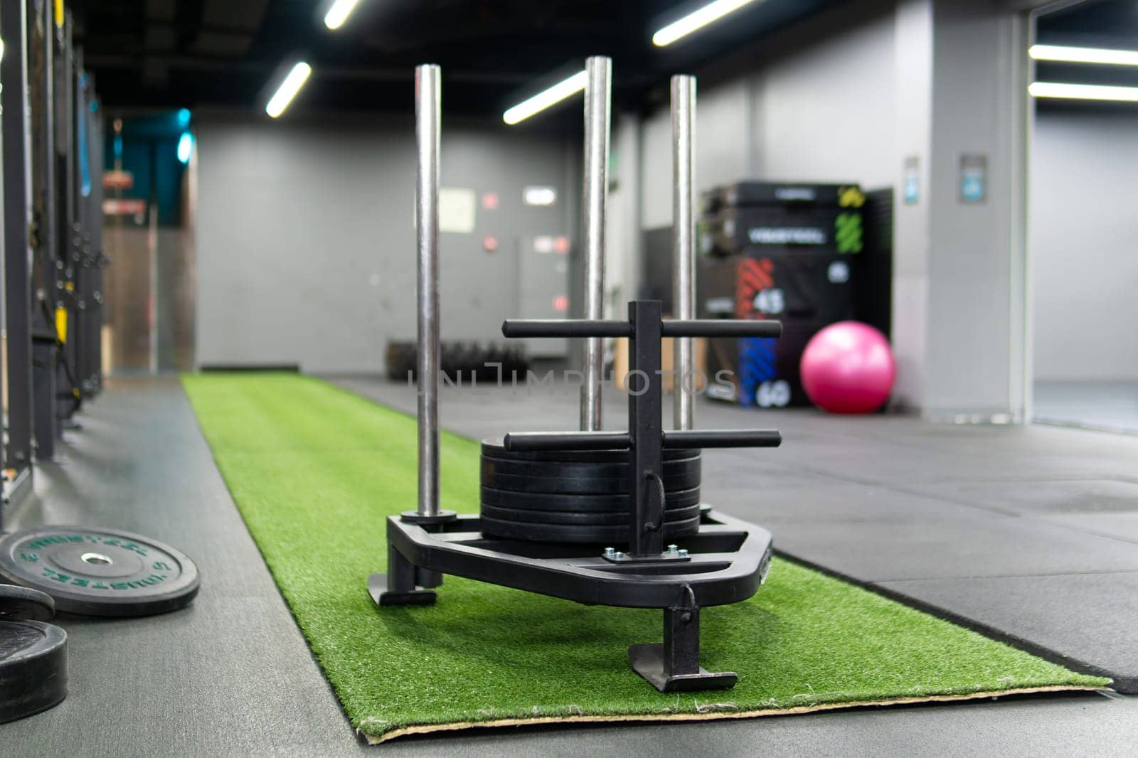 gym athlete muscular lifestyle effort people weight strength healthy holding heavy fitness sport
