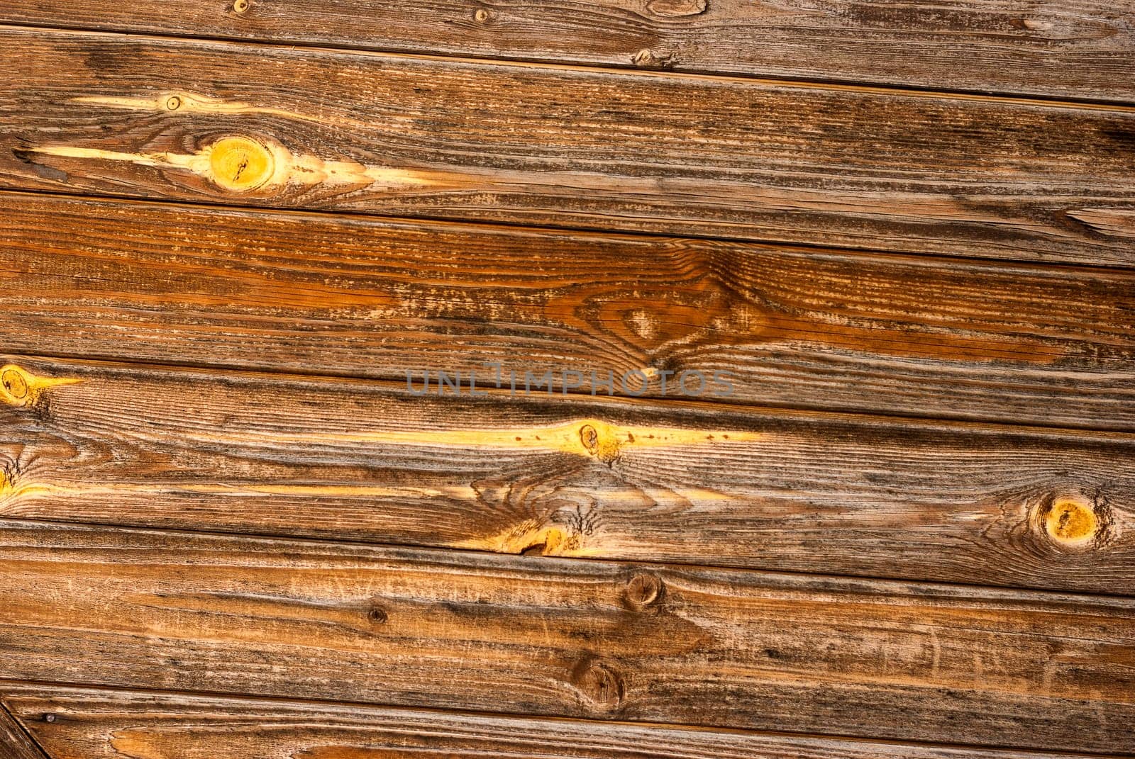 Abstract wood texture with the wood's grain.