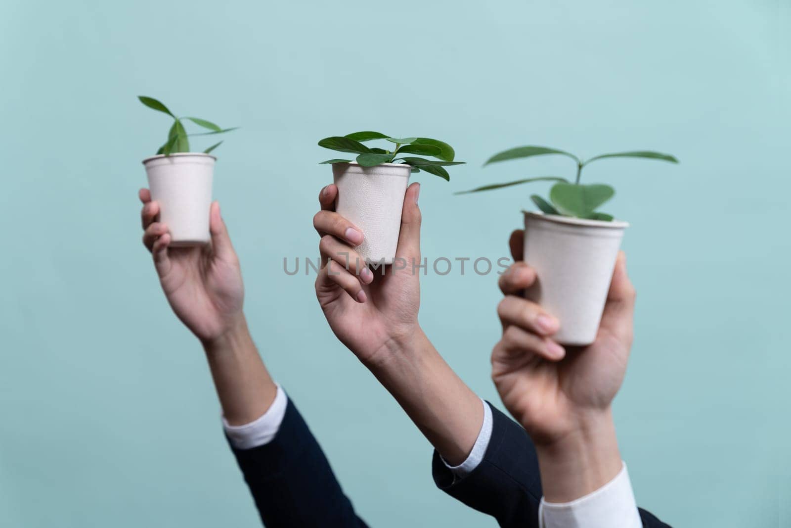 Business people hand holding plant pot on isolated background. Reforestation and eco-conscious regulation in green company to reduce CO2 emission for future environmental sustainability. Quaint