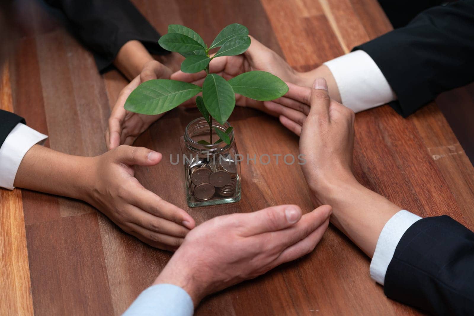 Business people holding money savings jar together in synergy filled with coin and growing plant for sustainable financial for retirement or eco subsidy investment for environment protection. Quaint